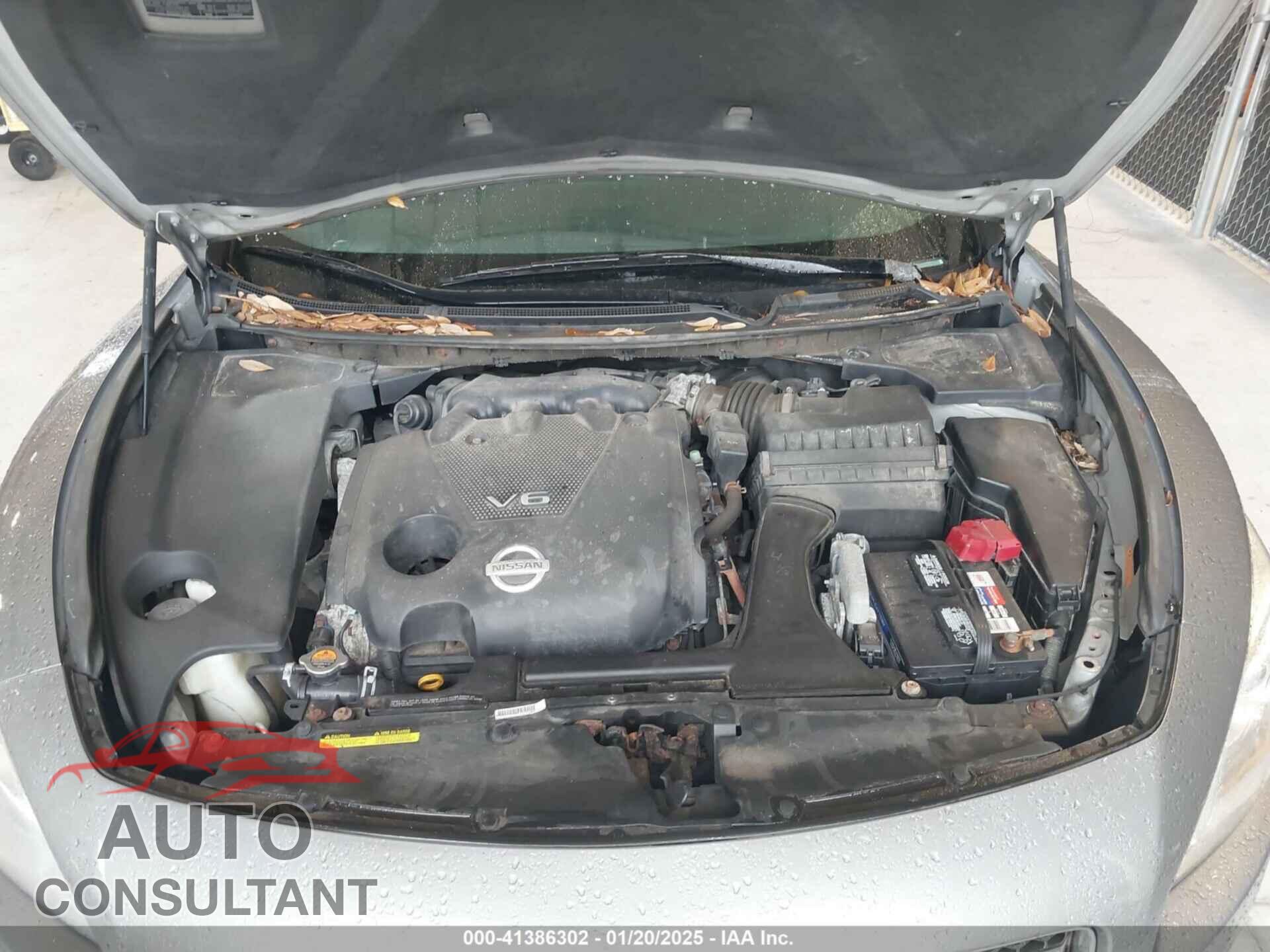 NISSAN MAXIMA 2009 - 1N4AA51E99C818692