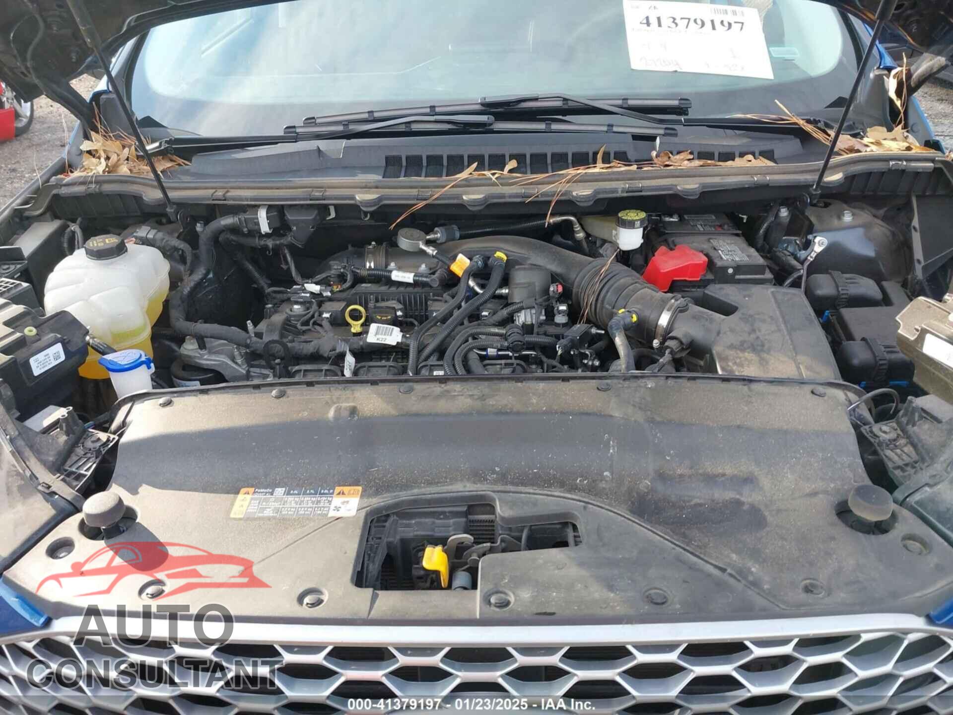 FORD EDGE 2024 - 2FMPK4J99RBA93248