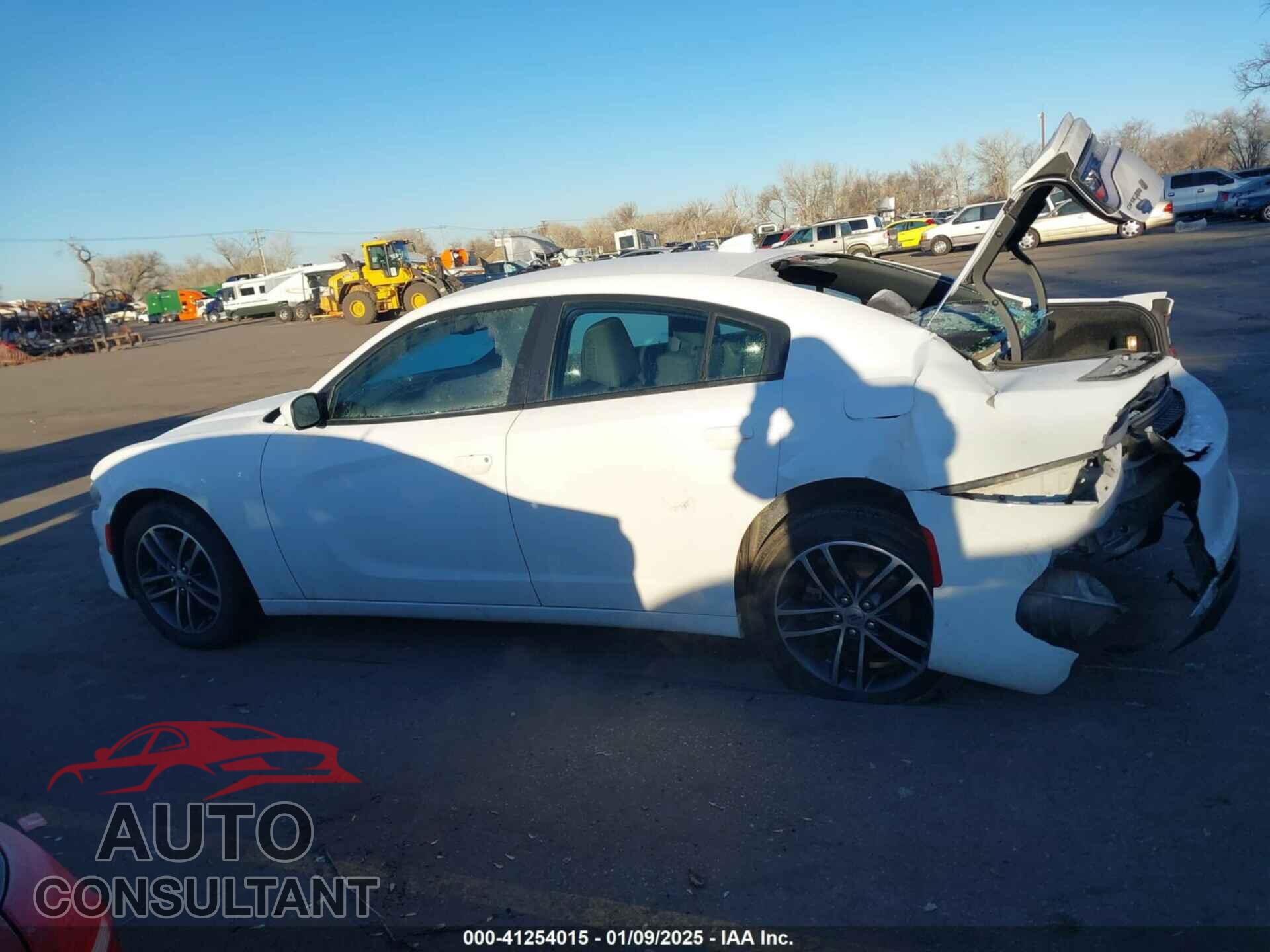 DODGE CHARGER 2019 - 2C3CDXJG7KH697353