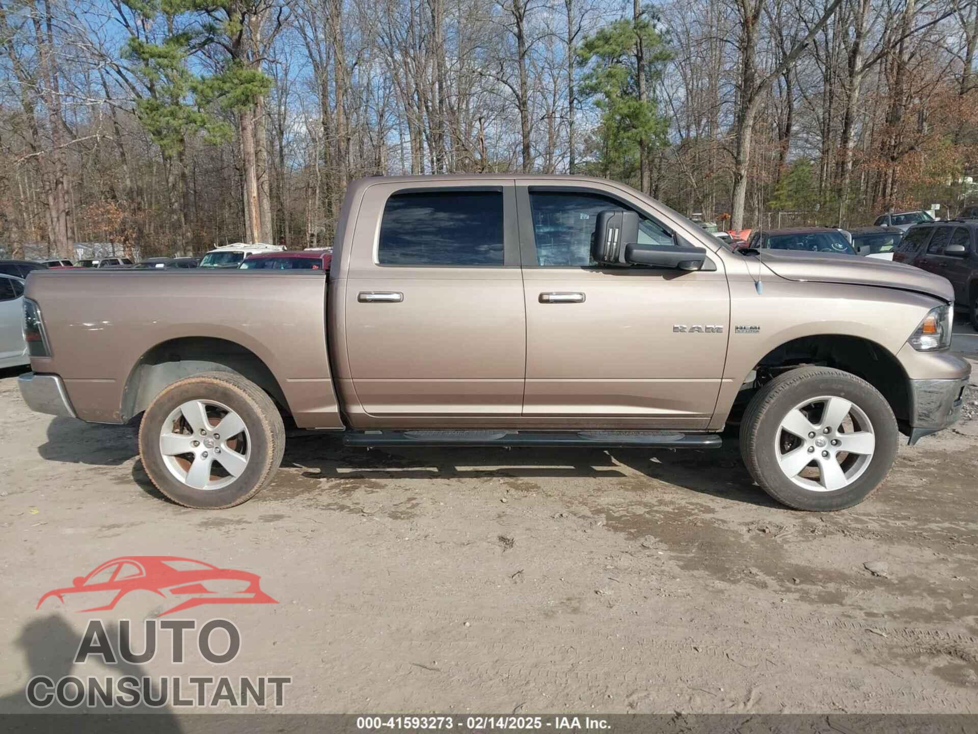 DODGE RAM 1500 2010 - 1D7RB1CTXAS245221