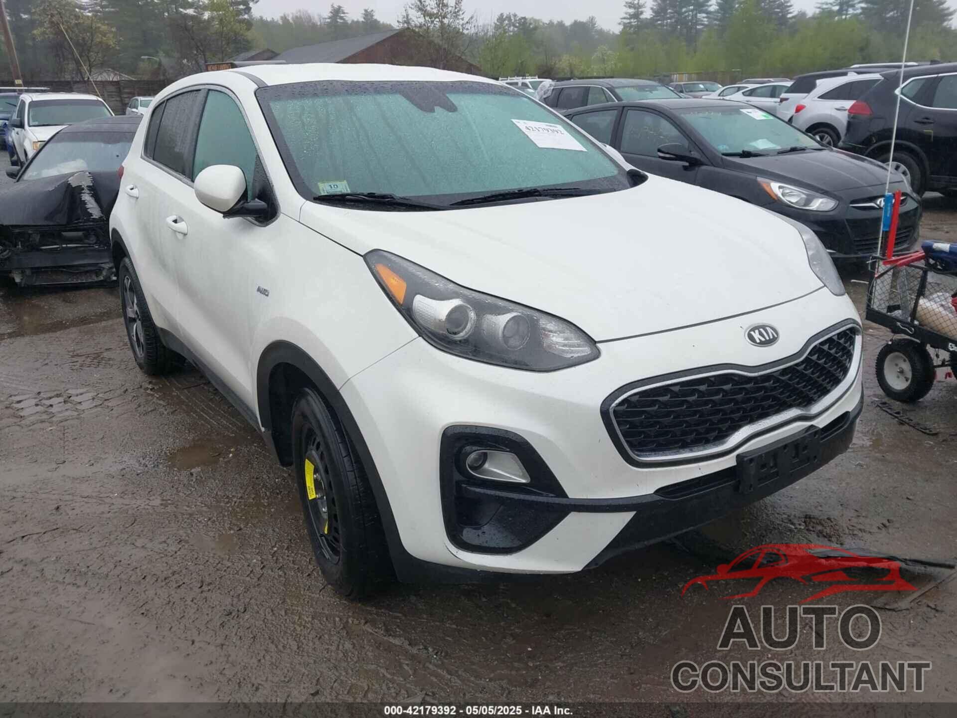 KIA SPORTAGE 2022 - KNDPMCAC7N7008656