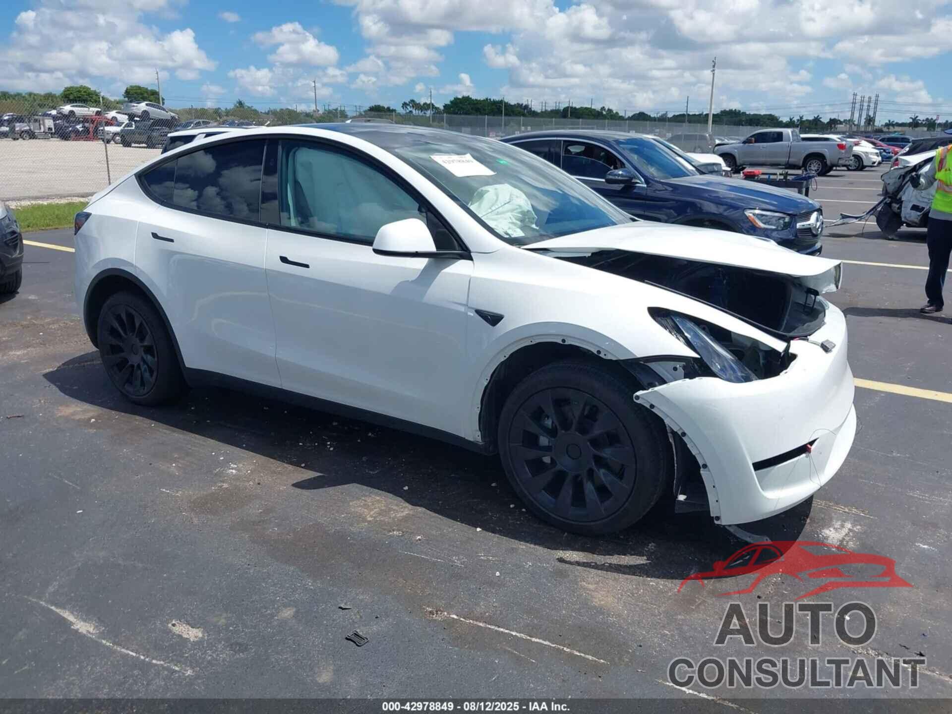 TESLA MODEL Y 2024 - 7SAYGDED3RF019239