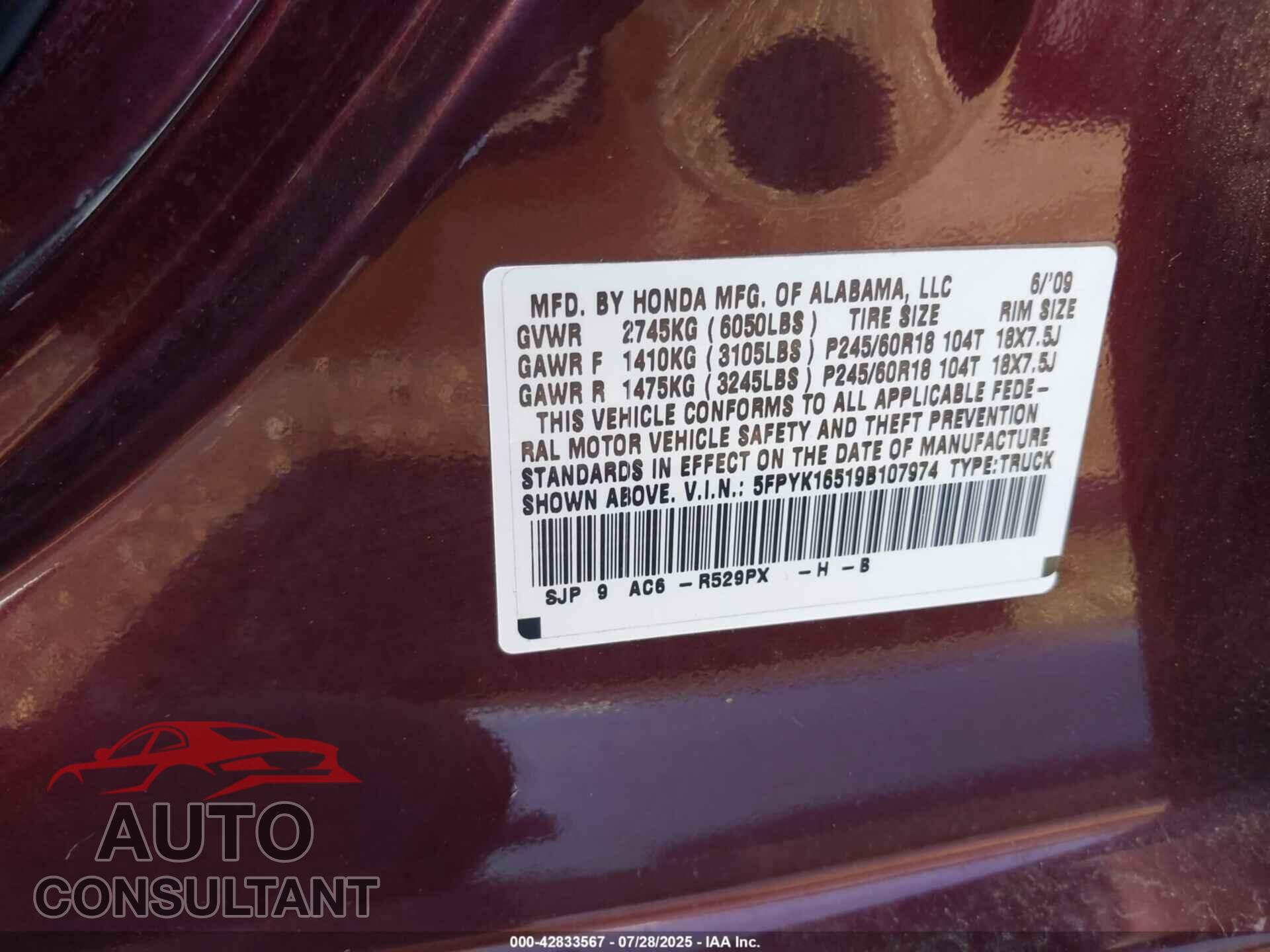 HONDA RIDGELINE 2009 - 5FPYK16519B107974