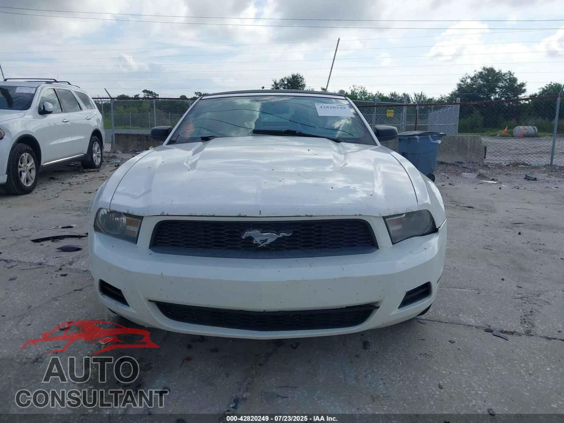 FORD MUSTANG 2011 - 1ZVBP8EM7B5129077