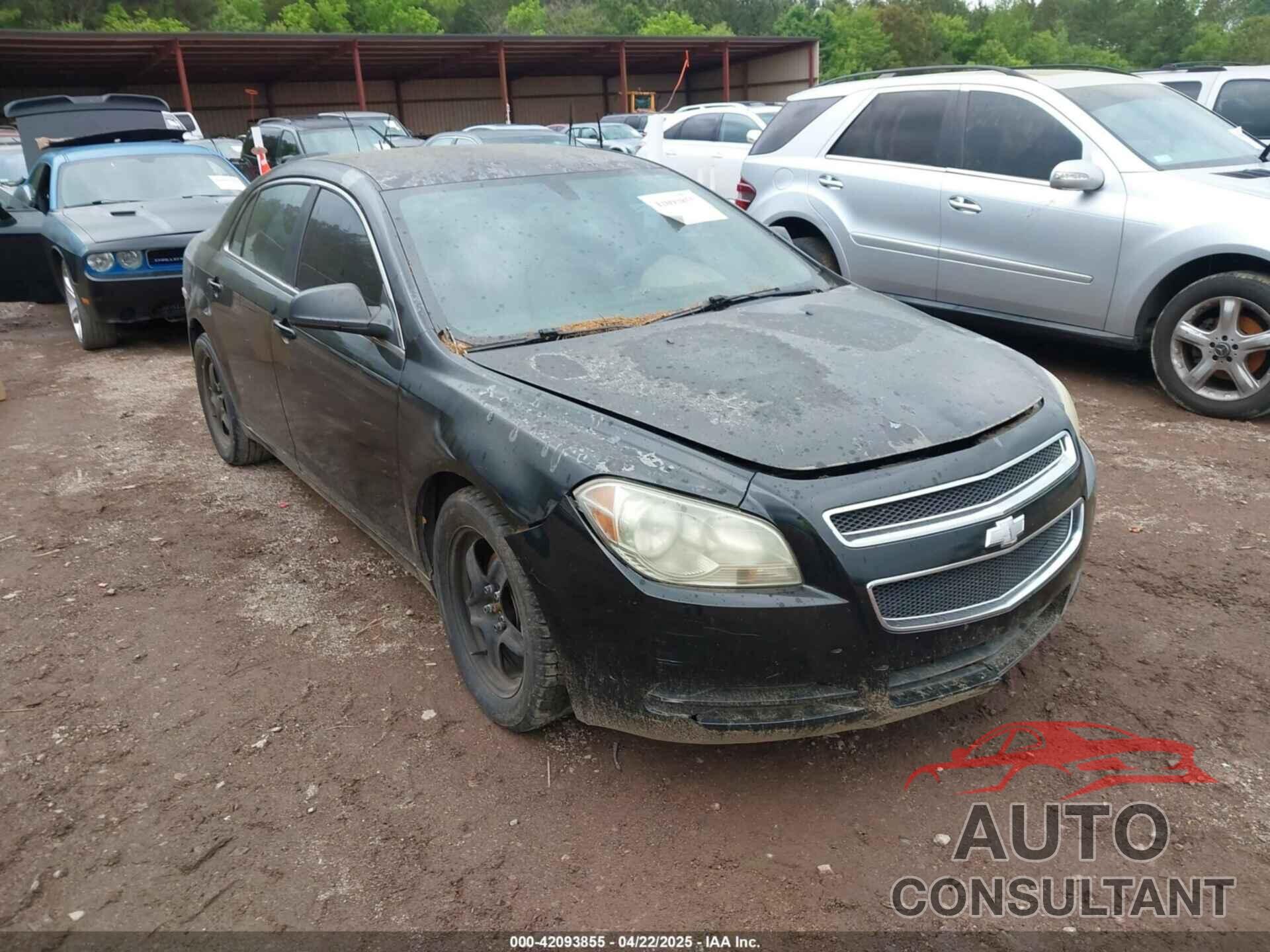 CHEVROLET MALIBU 2011 - 1G1ZB5E10BF256647