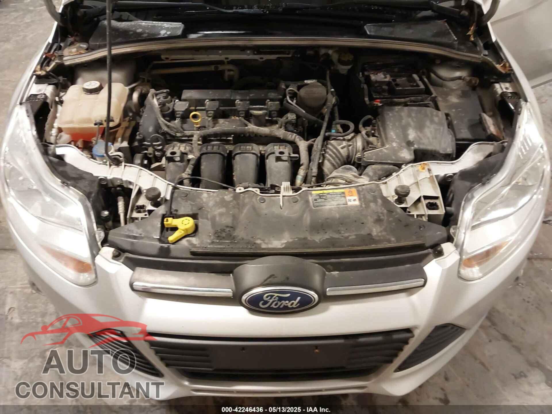 FORD FOCUS 2012 - 1FAHP3F21CL463704