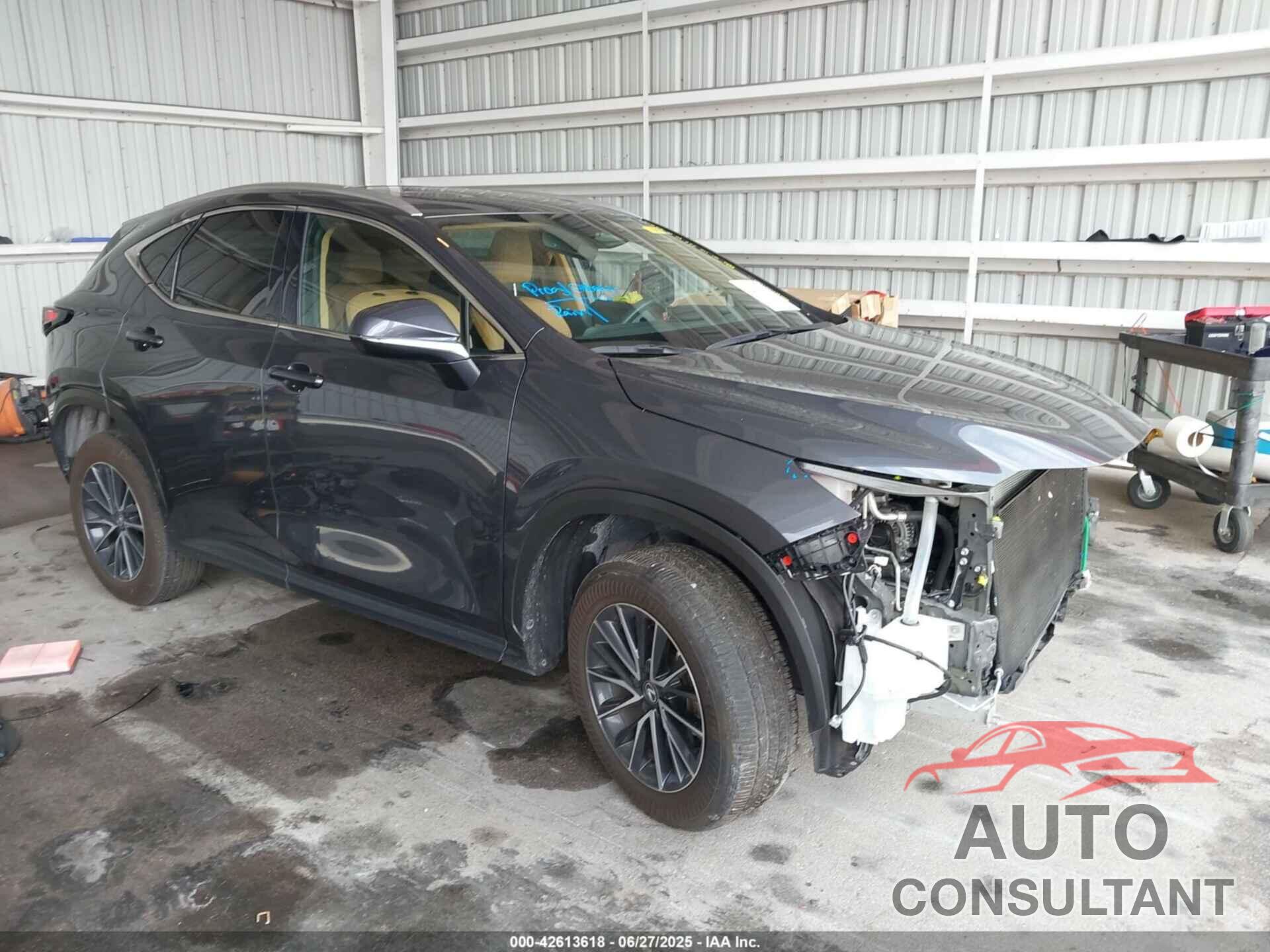 LEXUS NX 250 2025 - 2T2GDCAZ8SC017926