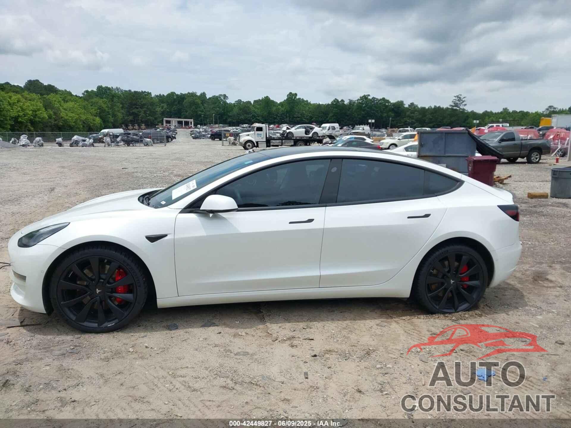 TESLA MODEL 3 2019 - 5YJ3E1EB6KF487174