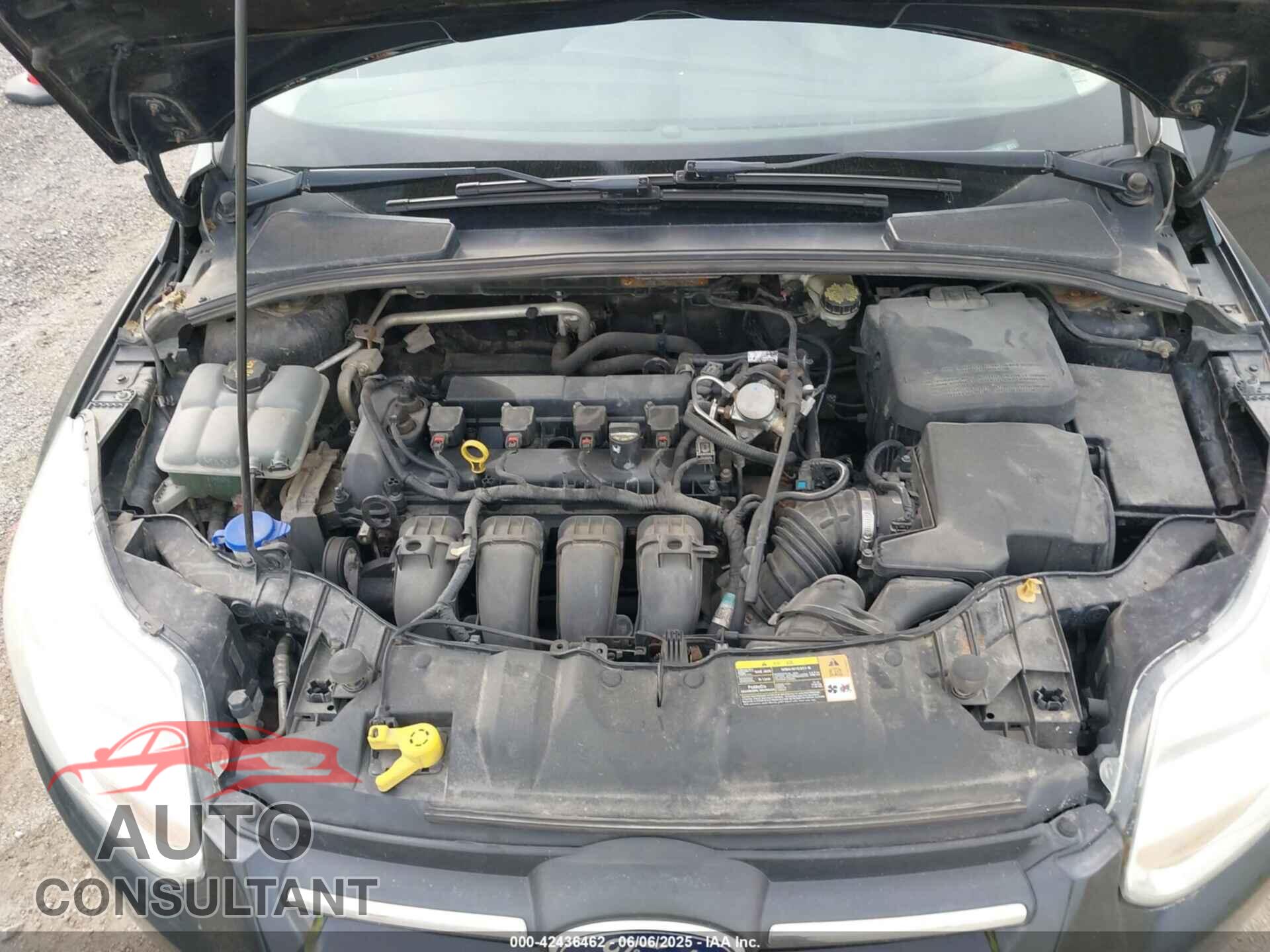 FORD FOCUS 2014 - 1FADP3F24EL170431