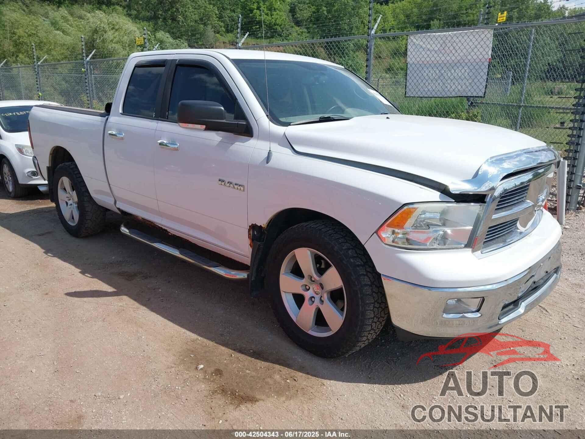 DODGE RAM 1500 2010 - 1D7RV1GP3AS124065