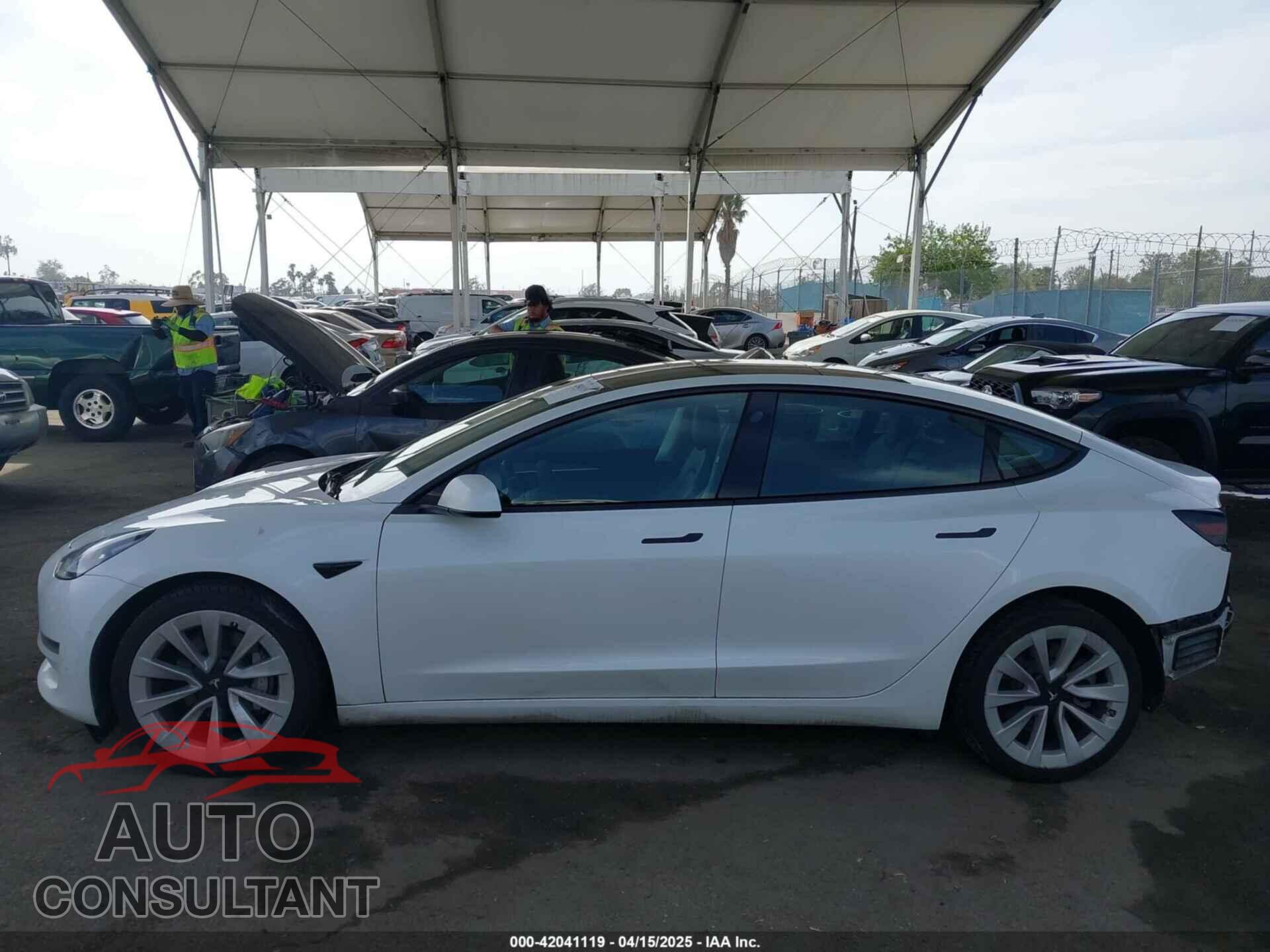 TESLA MODEL 3 2022 - 5YJ3E1EA5NF299550