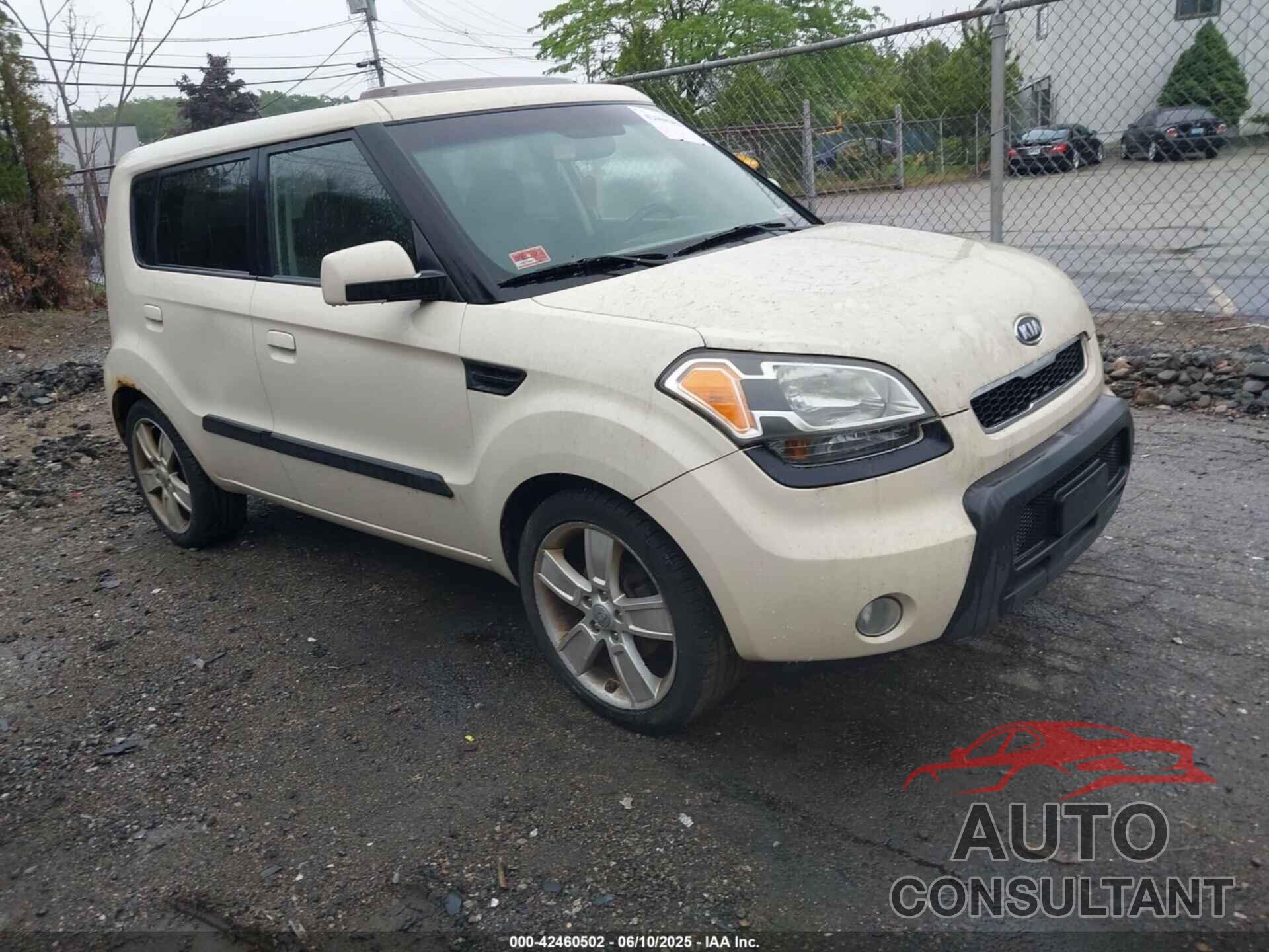 KIA SOUL 2010 - KNDJT2A21A7136931