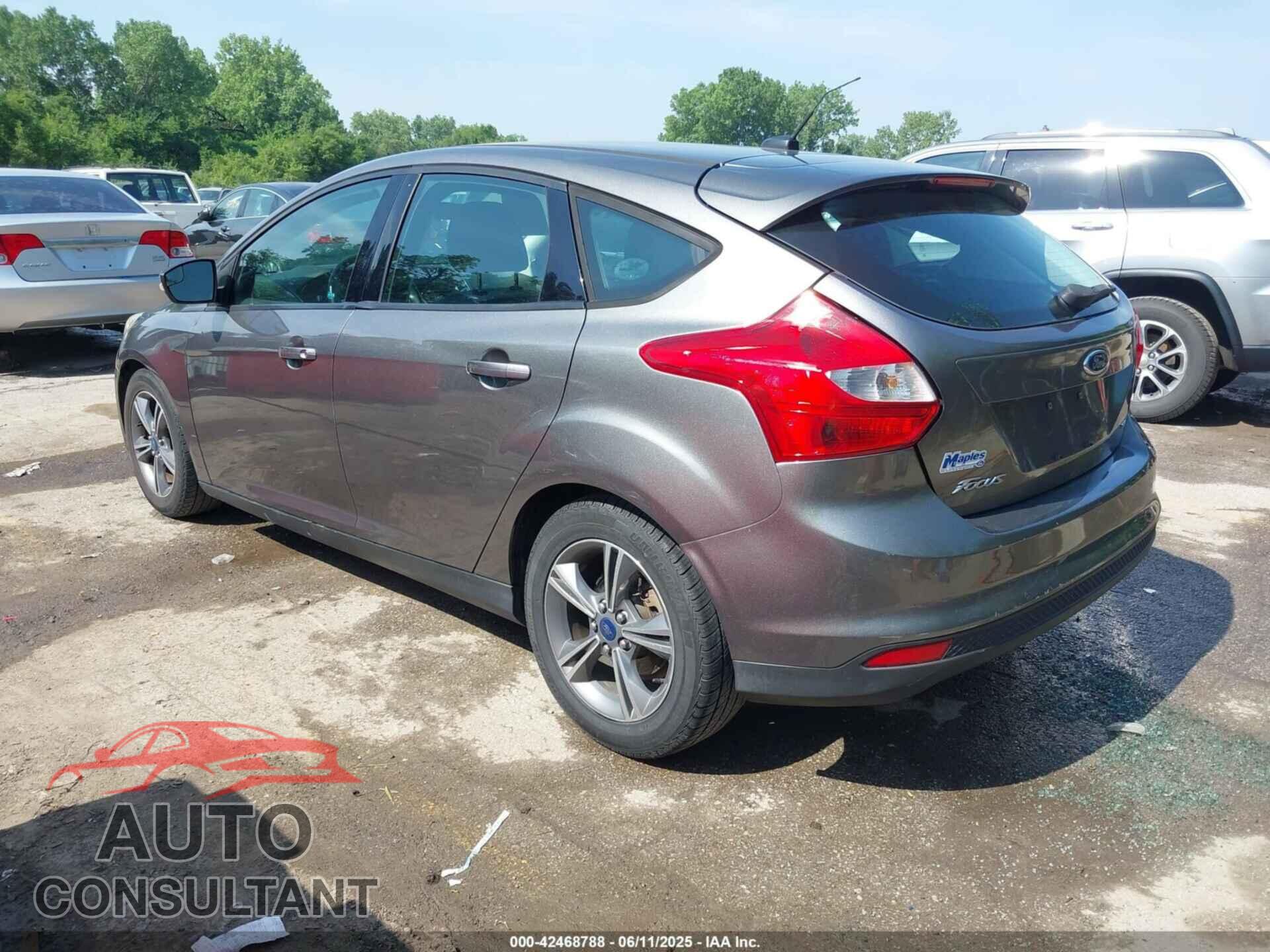 FORD FOCUS 2014 - 1FADP3K2XEL281989