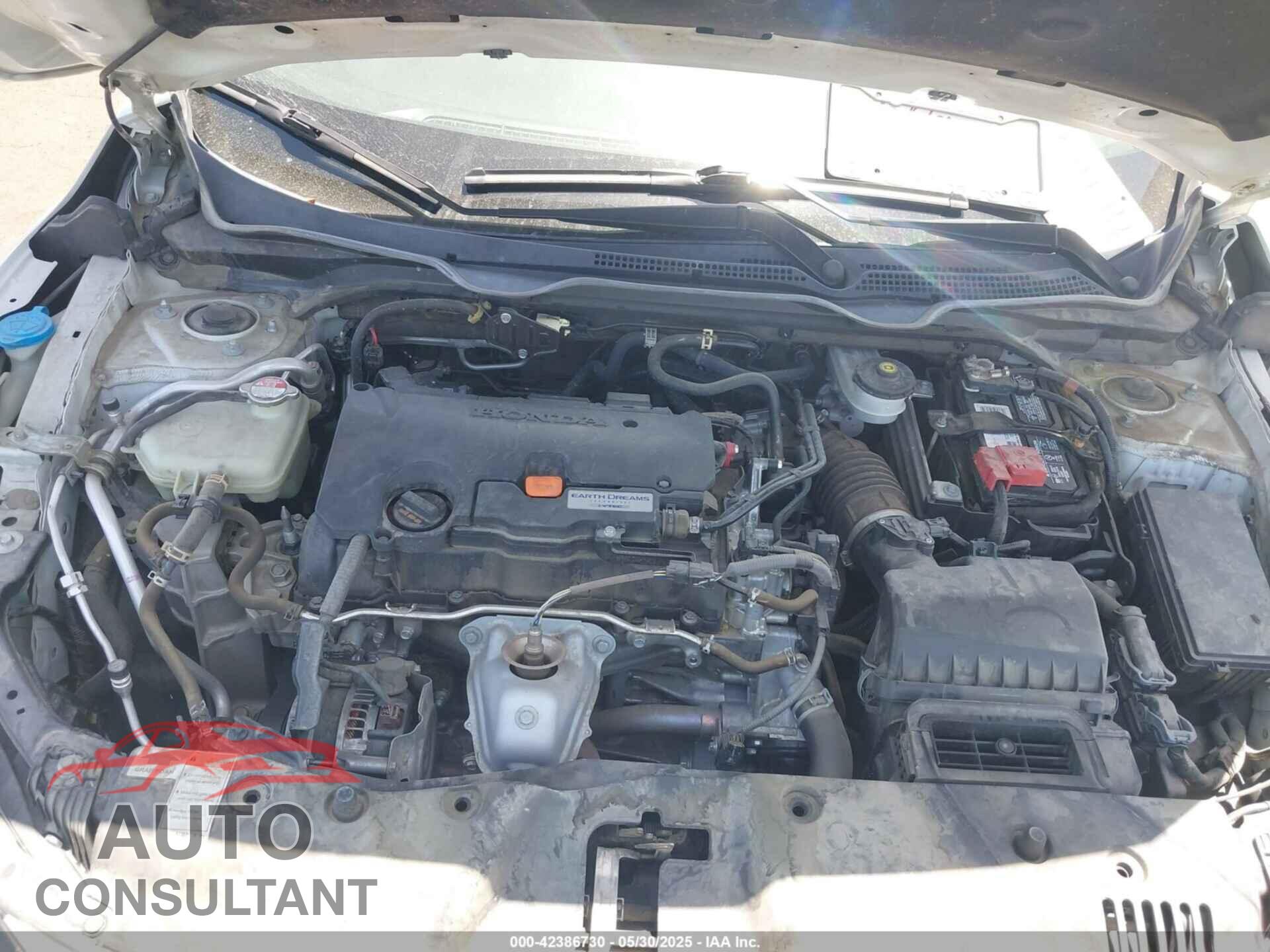 HONDA CIVIC 2019 - 2HGFC2F87KH557532