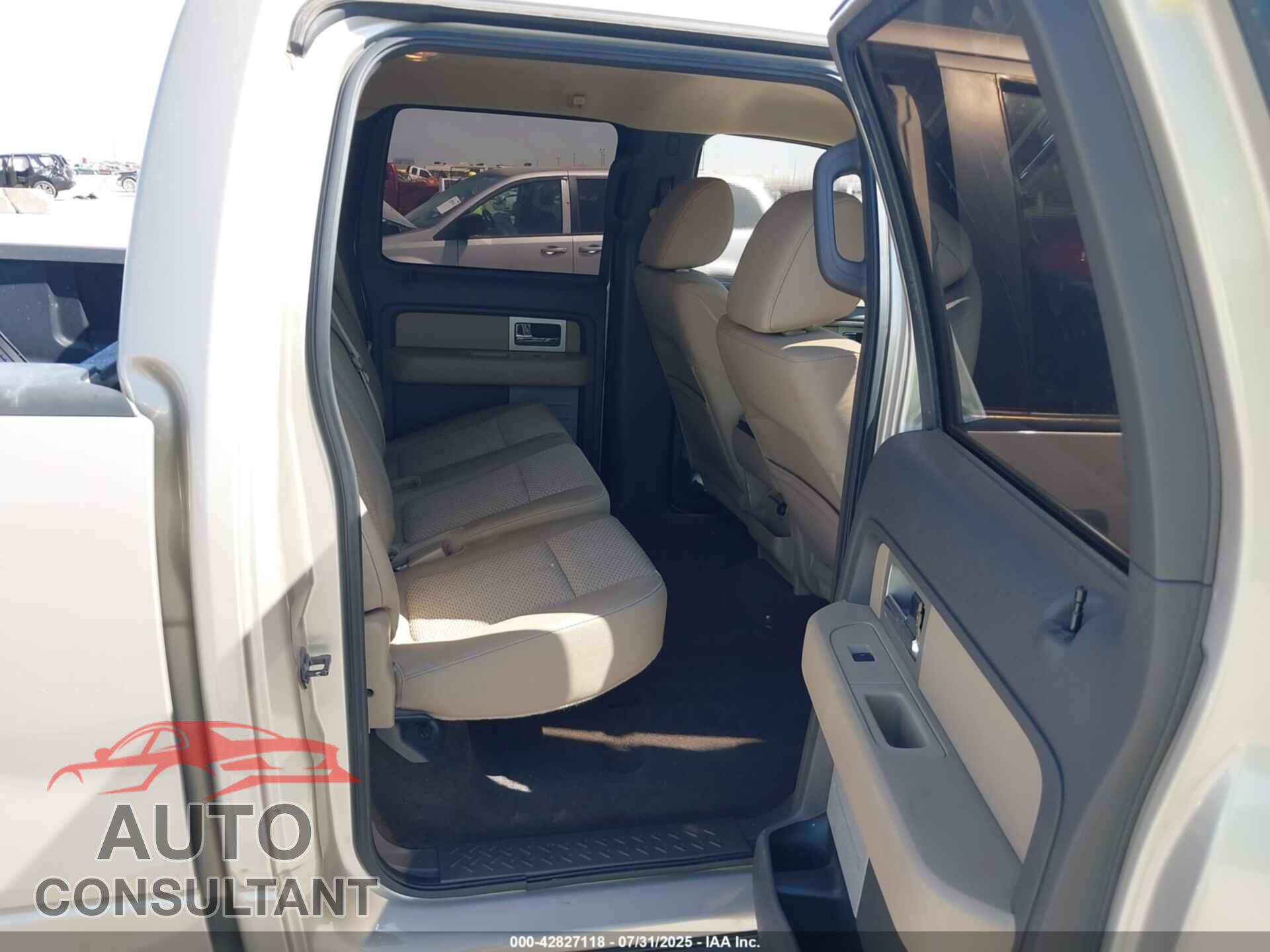 FORD F-150 2010 - 1FTEW1C85AFD86229