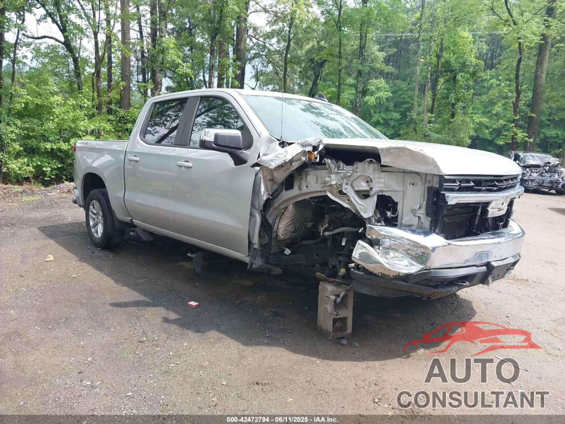 CHEVROLET SILVERADO 1500 2019 - 1GCUYDED8KZ395931