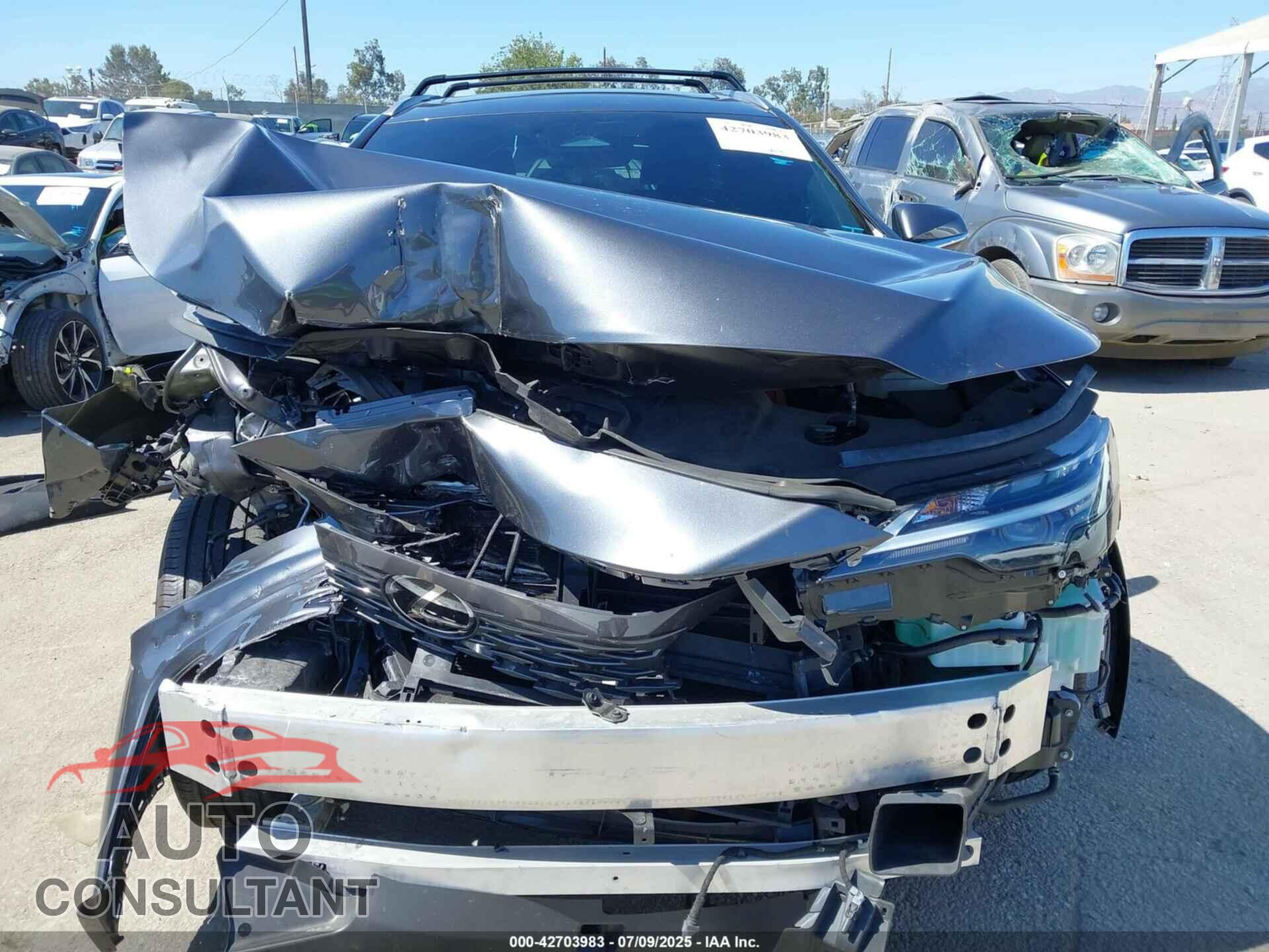 LEXUS RX 350H 2024 - 2T2BBMCA3RC042093