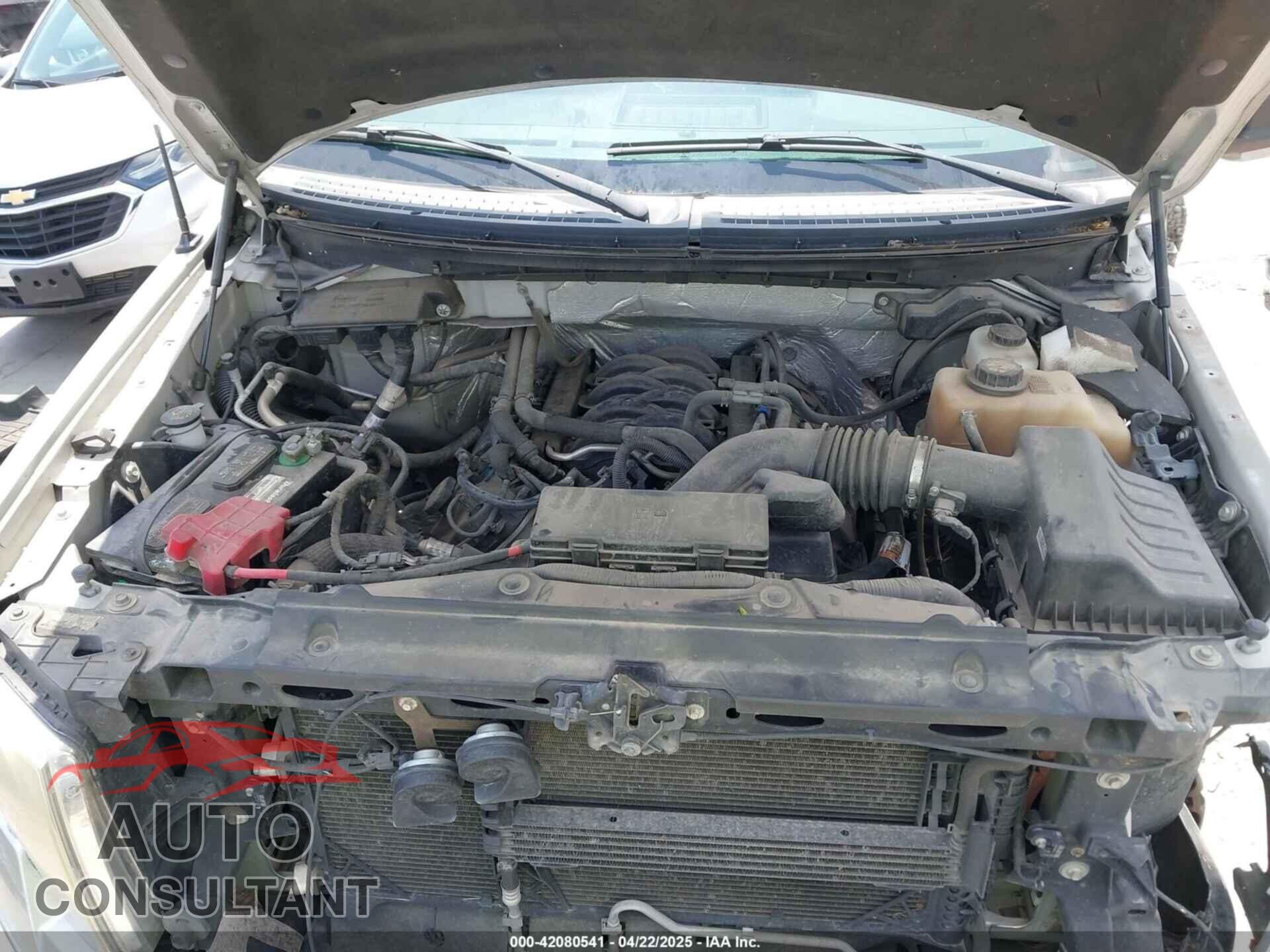 FORD F150 2012 - 1FTFW1EF2CFB79543