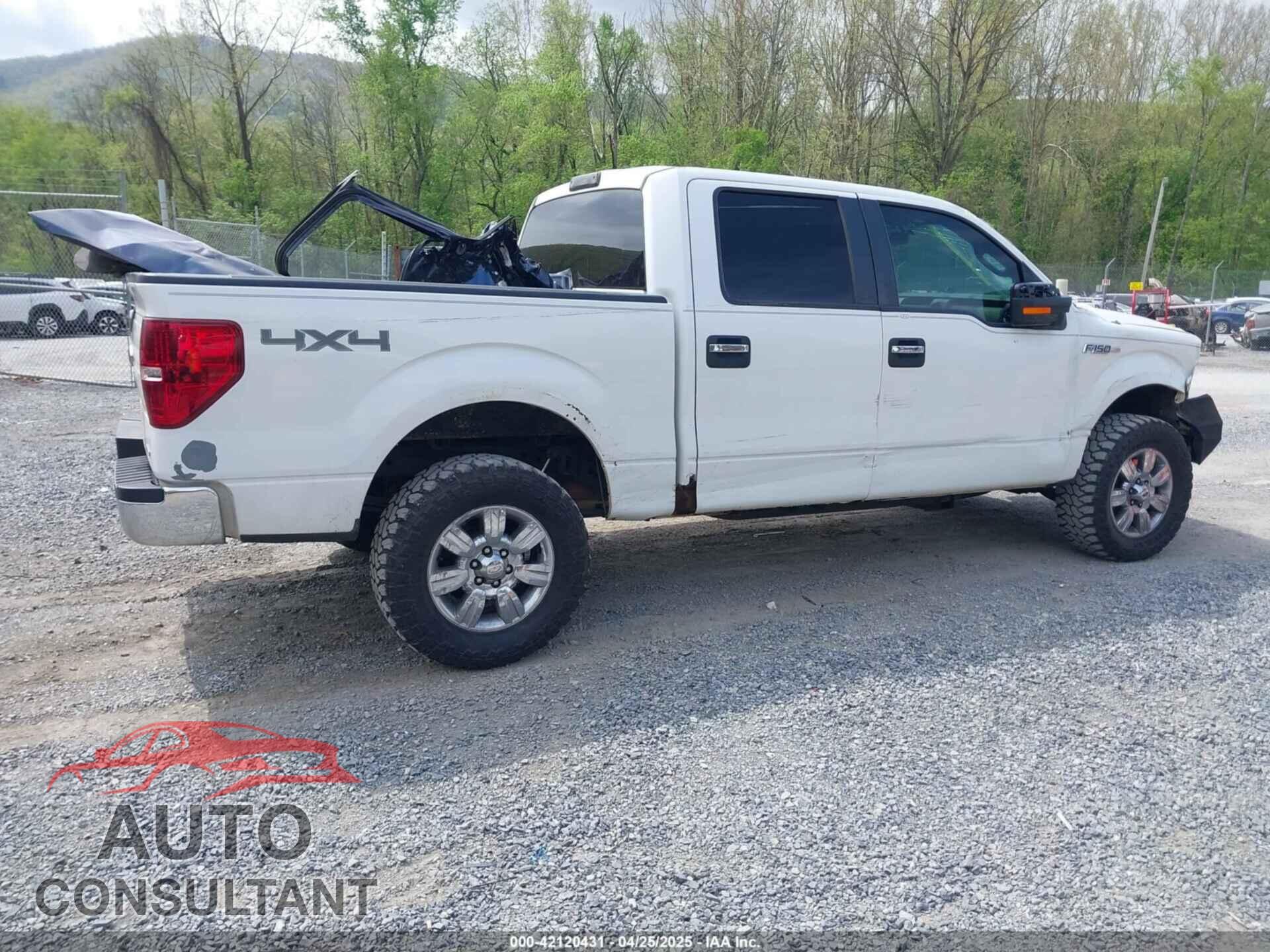 FORD F-150 2011 - 1FTFW1EF0BKD38842