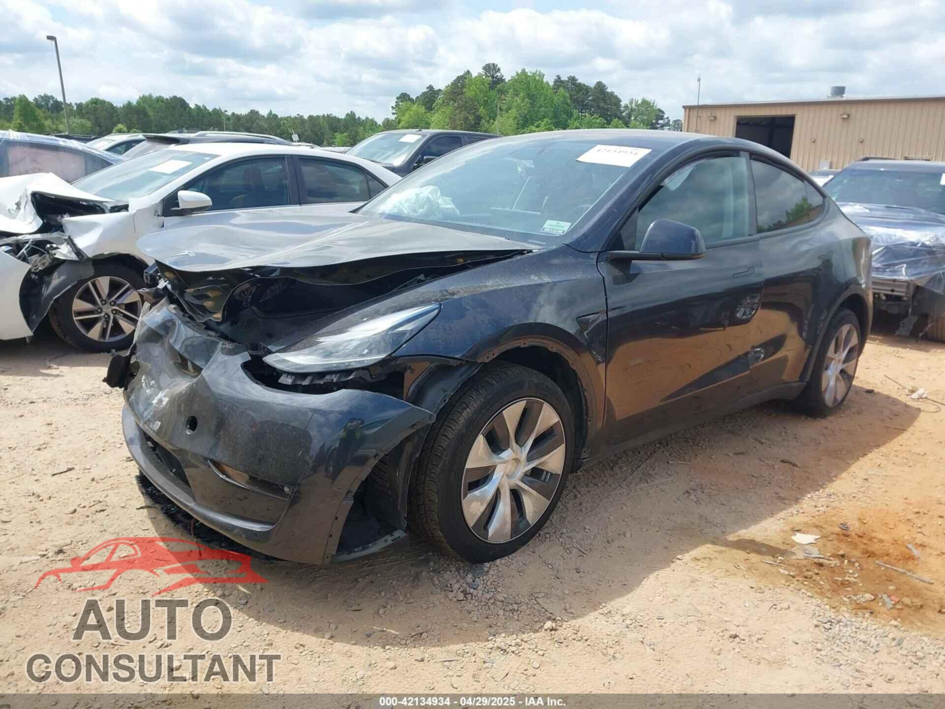 TESLA MODEL Y 2024 - 7SAYGDEE8RF988950