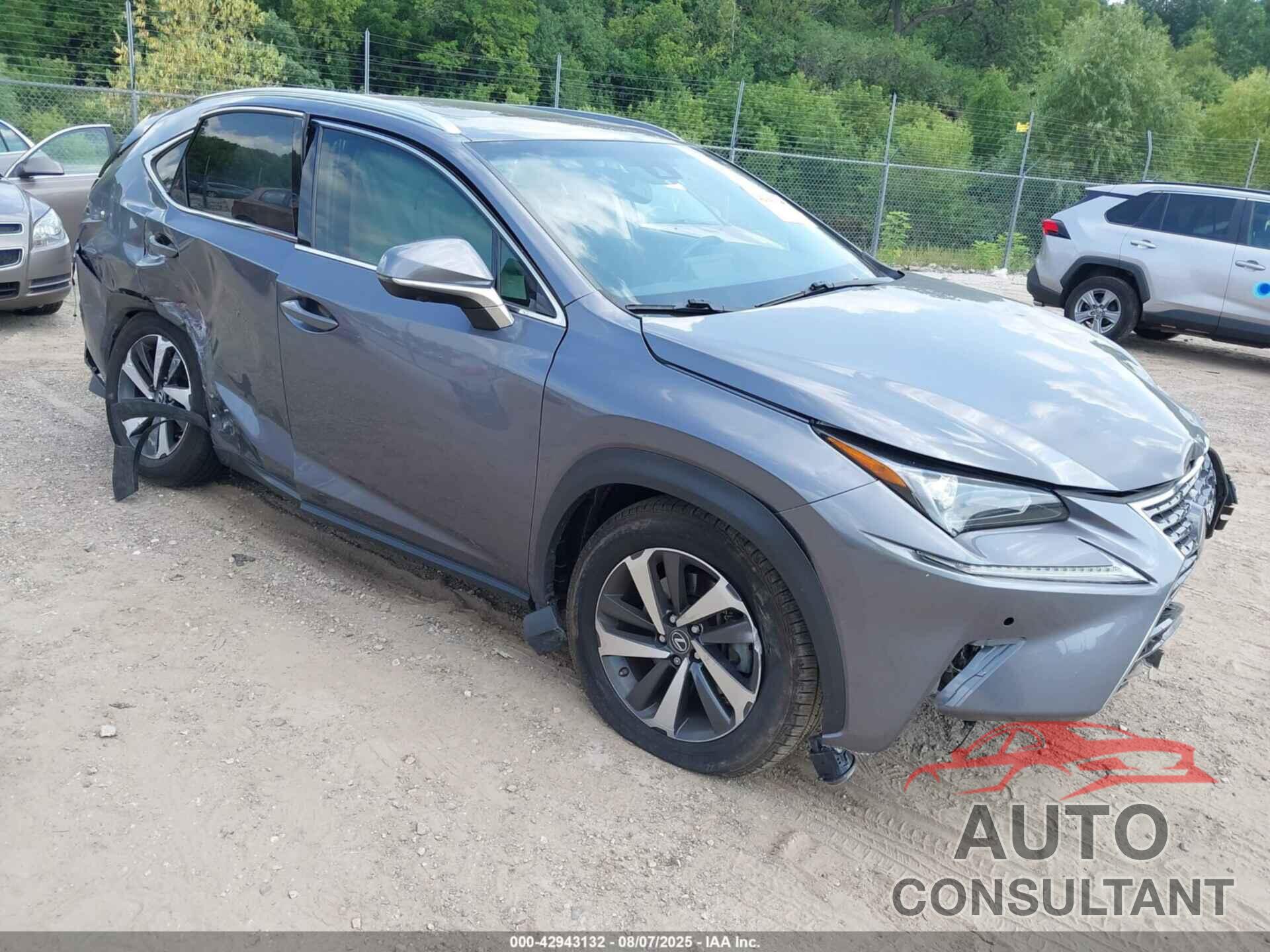 LEXUS NX 300 2019 - JTJYARBZXK2142117