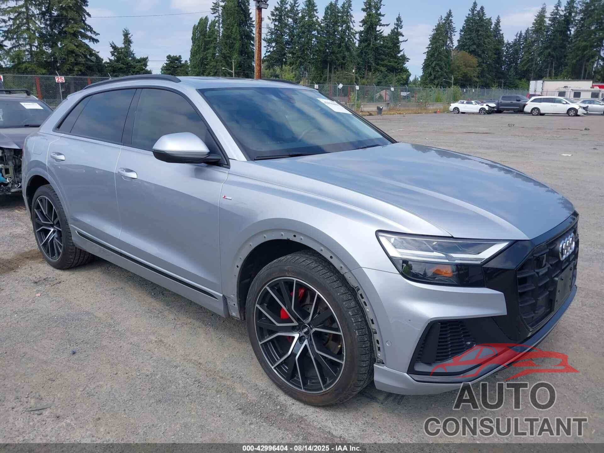 AUDI Q8 2019 - WA1EVAF11KD018462