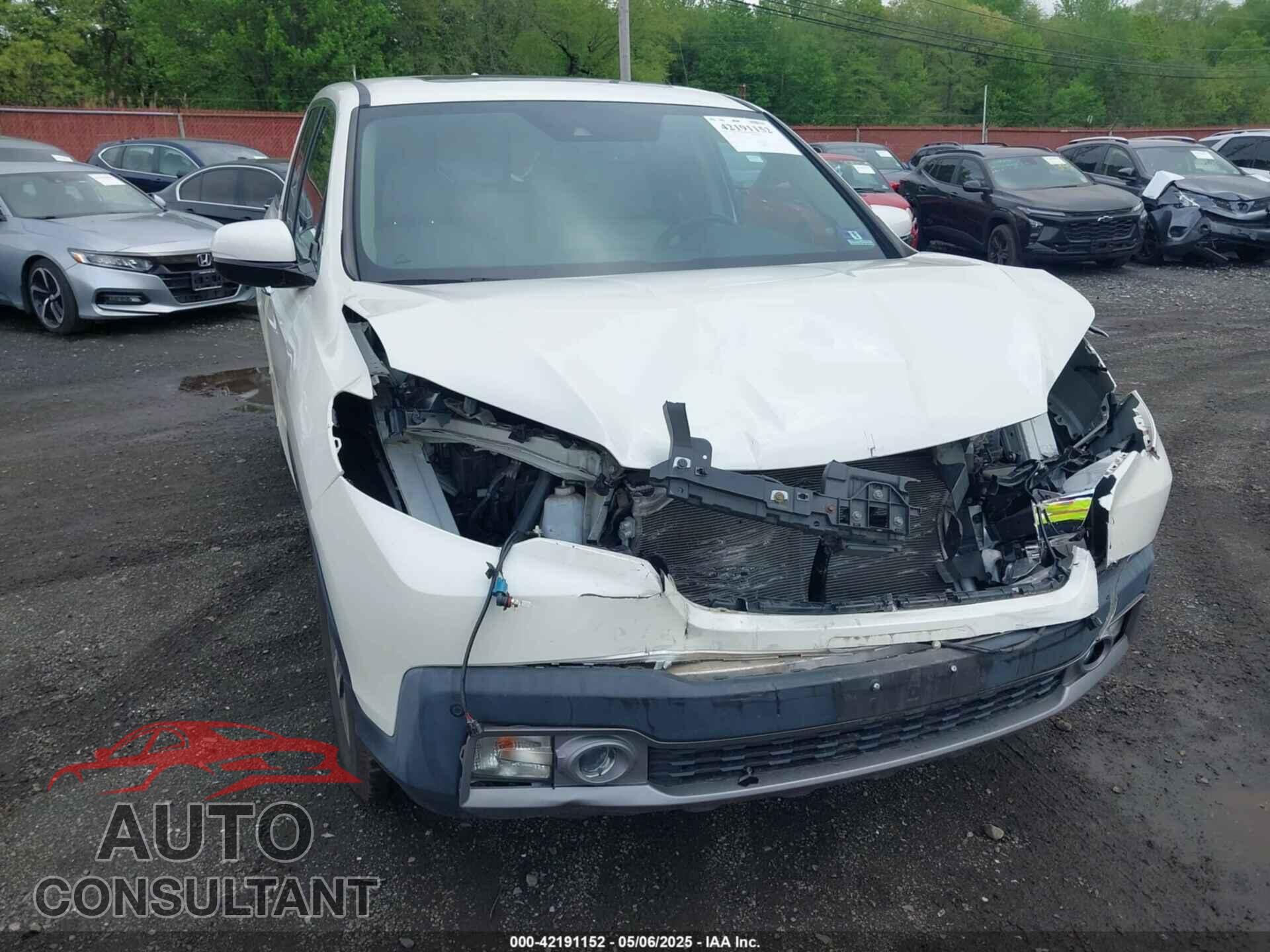 HONDA RIDGELINE 2019 - 5FPYK3F75KB020713