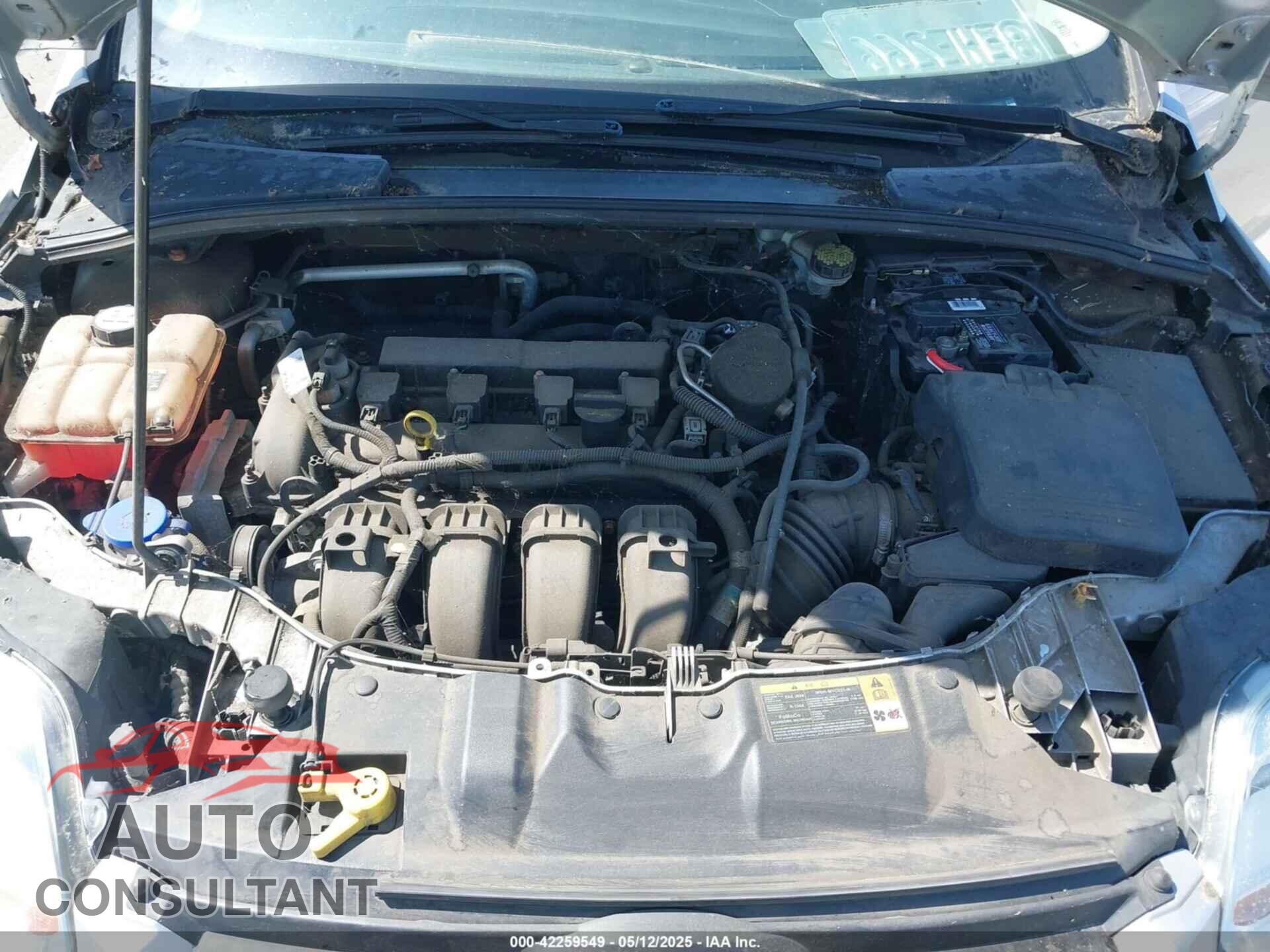 FORD FOCUS 2012 - 1FAHP3F24CL398041