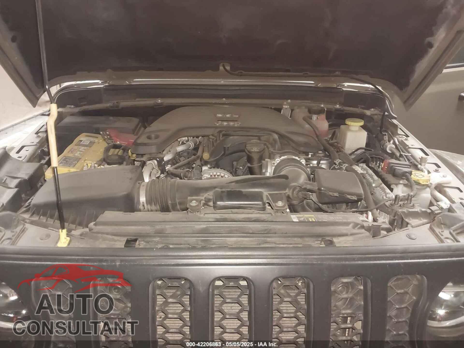 JEEP GLADIATOR 2020 - 1C6JJTBGXLL178893