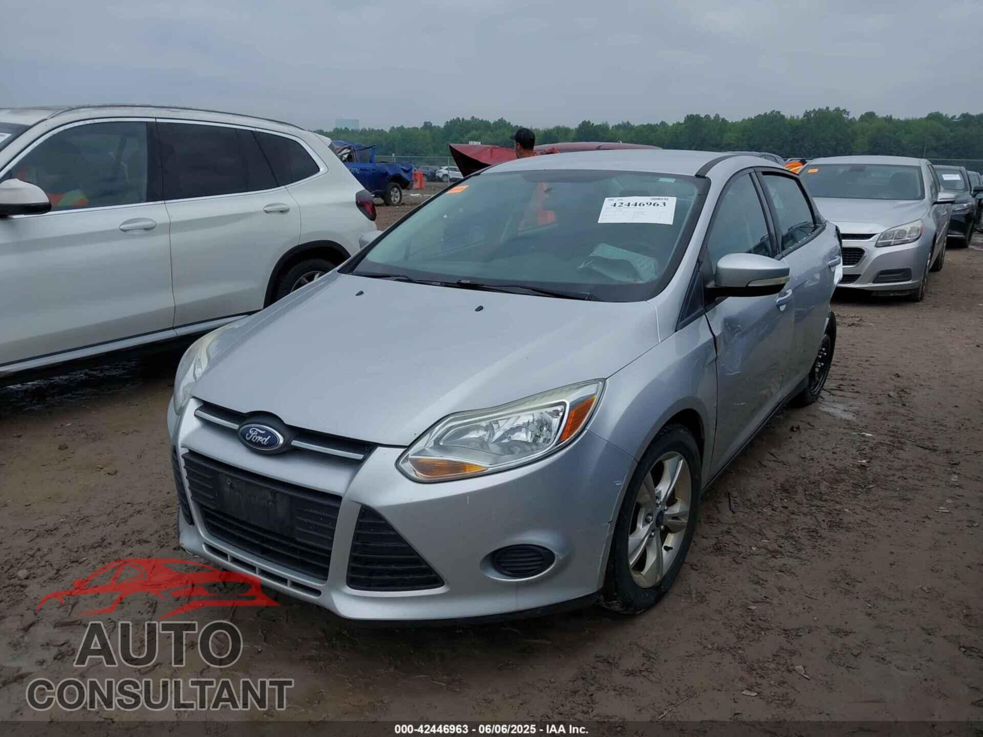 FORD FOCUS 2014 - 1FADP3F24EL181753