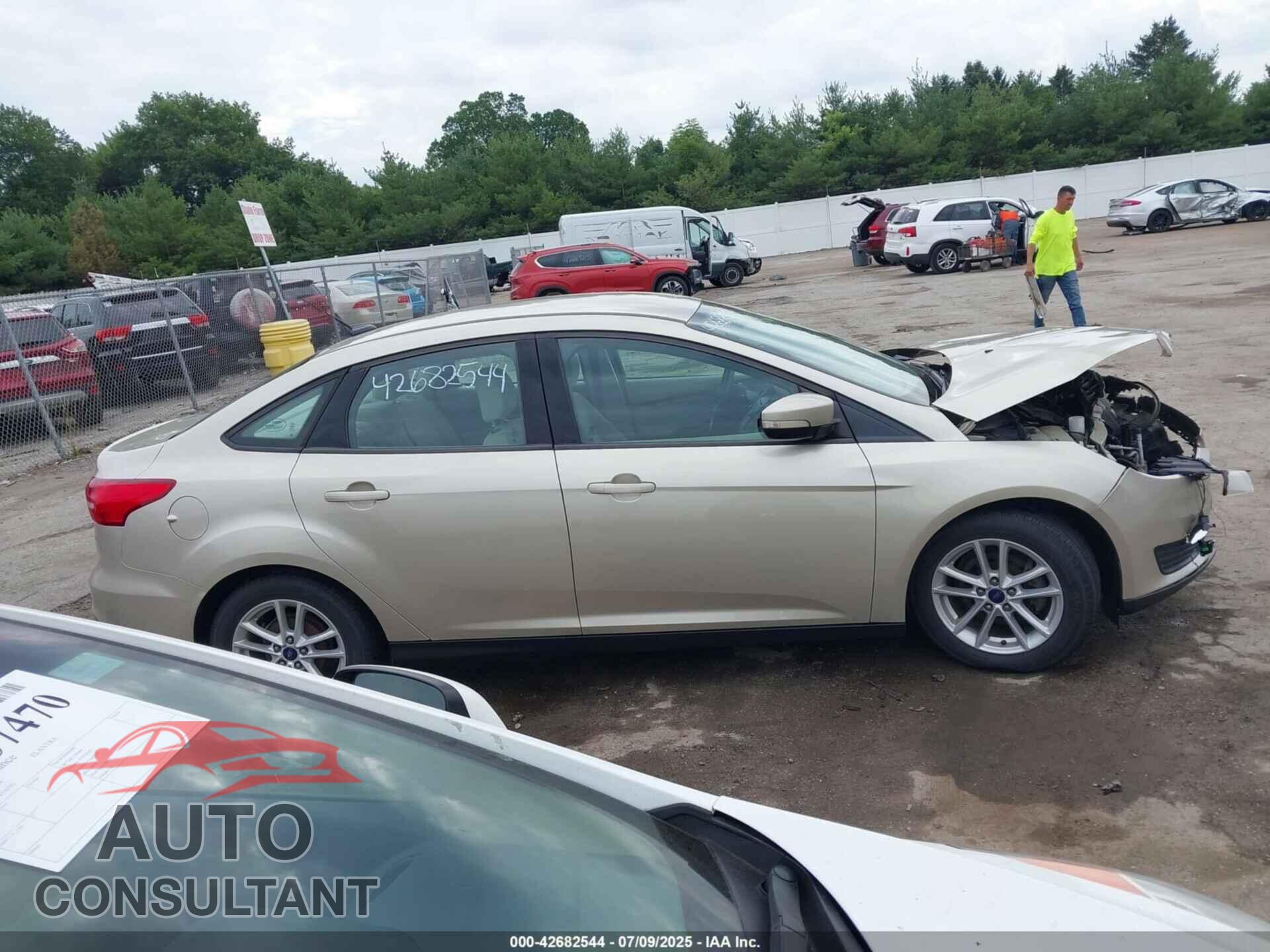 FORD FOCUS 2017 - 1FADP3F20HL252855
