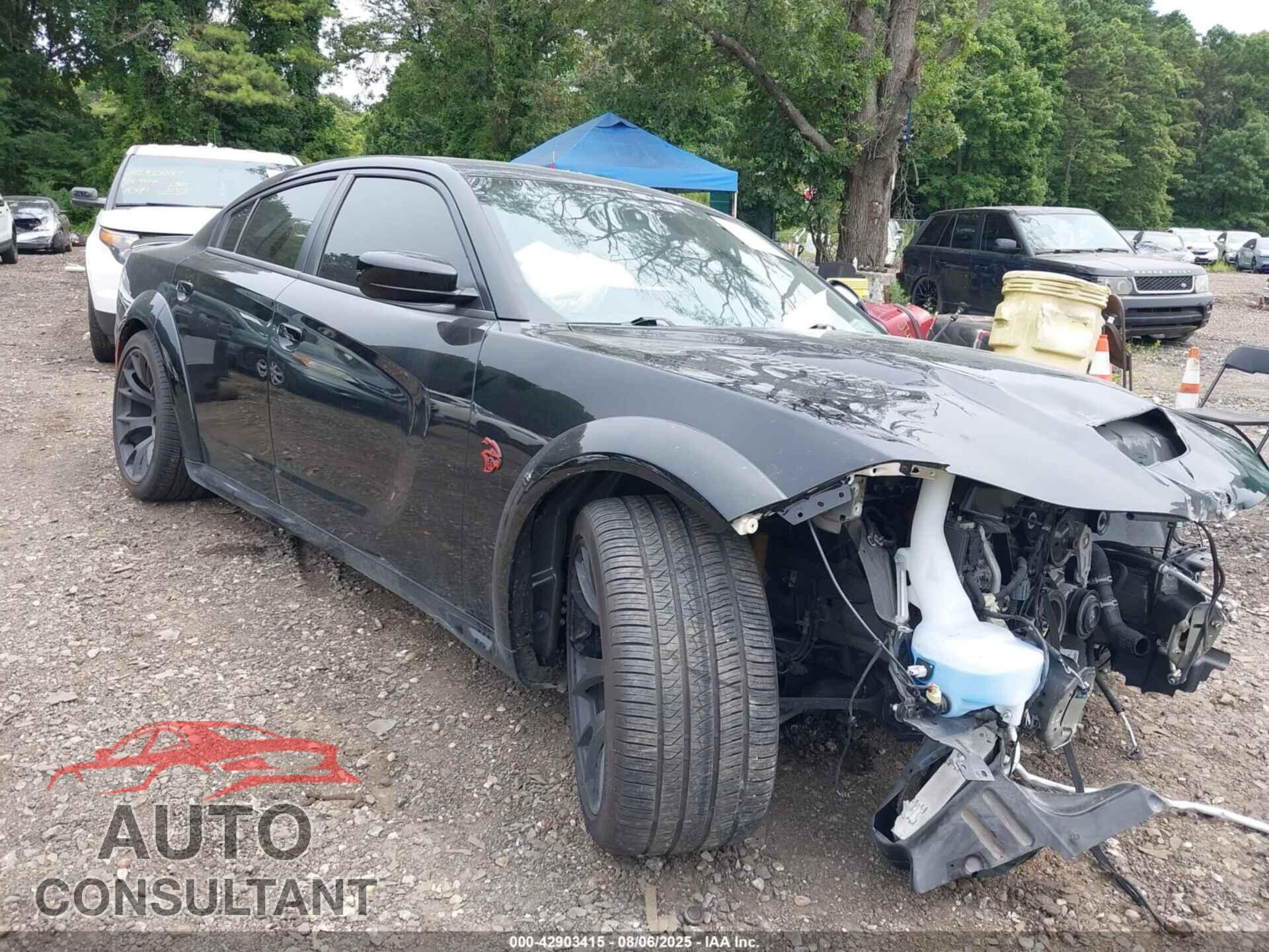 DODGE CHARGER 2023 - 2C3CDXL96PH681389
