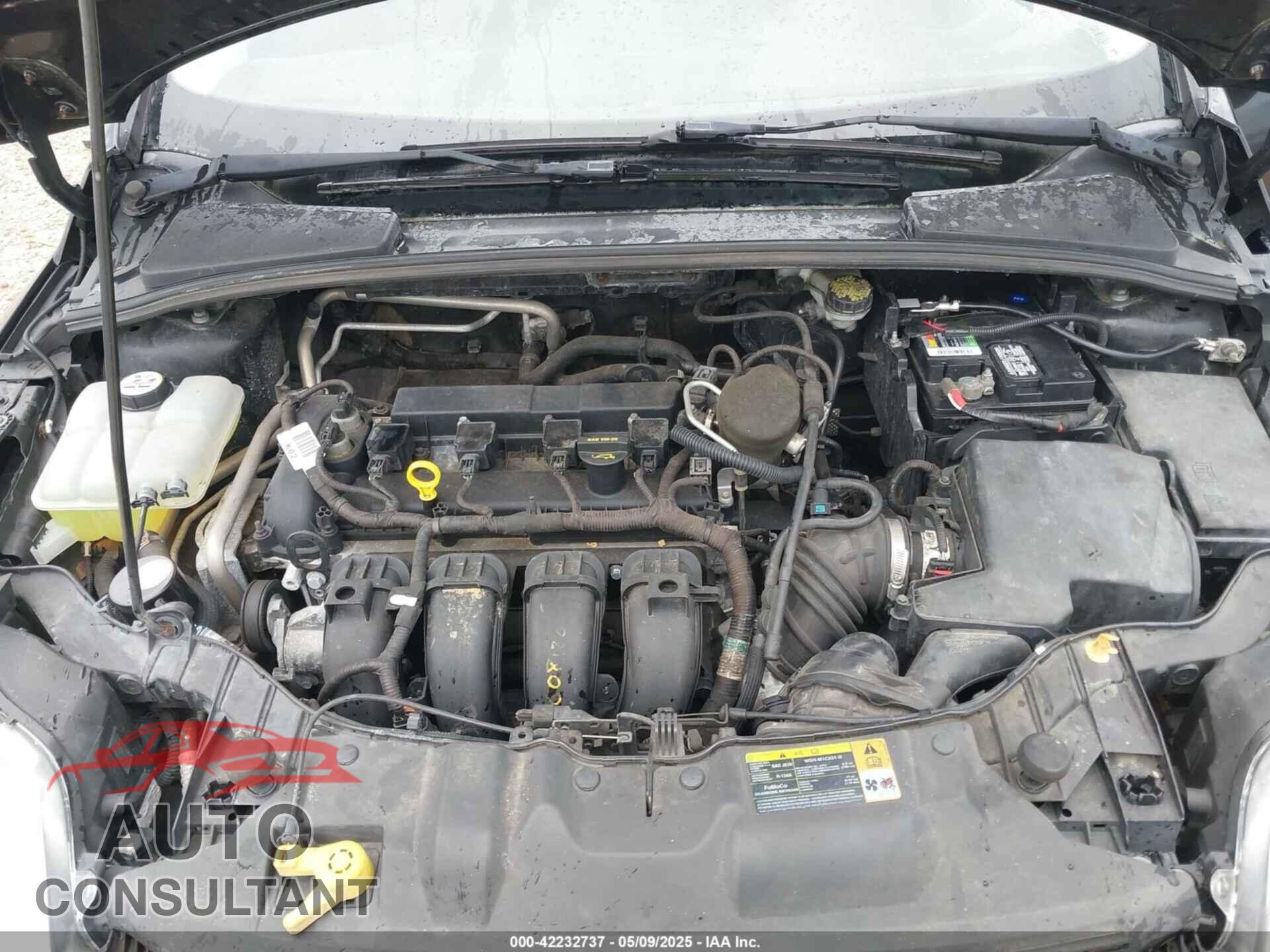 FORD FOCUS 2012 - 1FAHP3F21CL360508