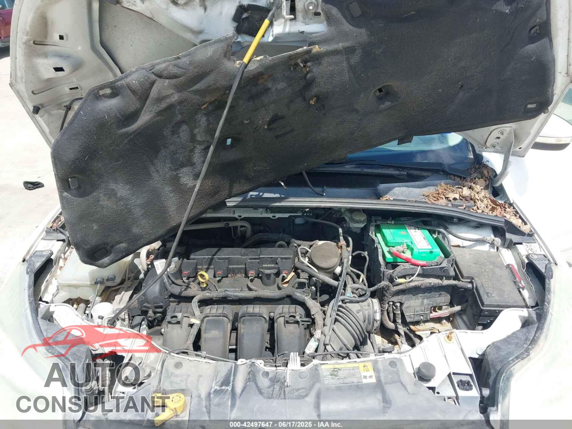 FORD FOCUS 2013 - 1FADP3K29DL209650