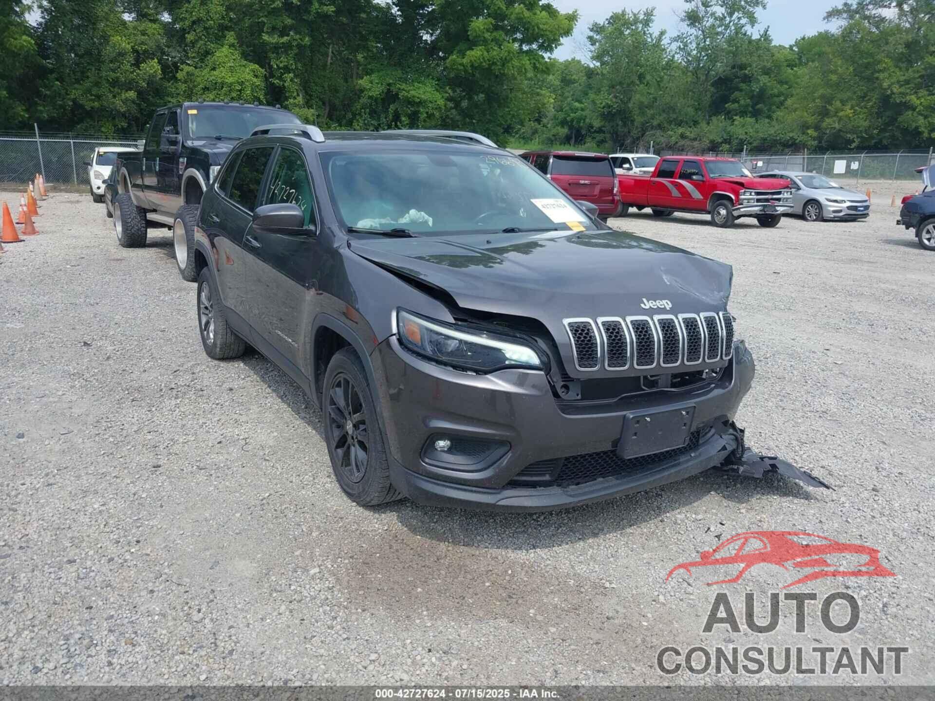 JEEP CHEROKEE 2019 - 1C4PJLLB2KD296693