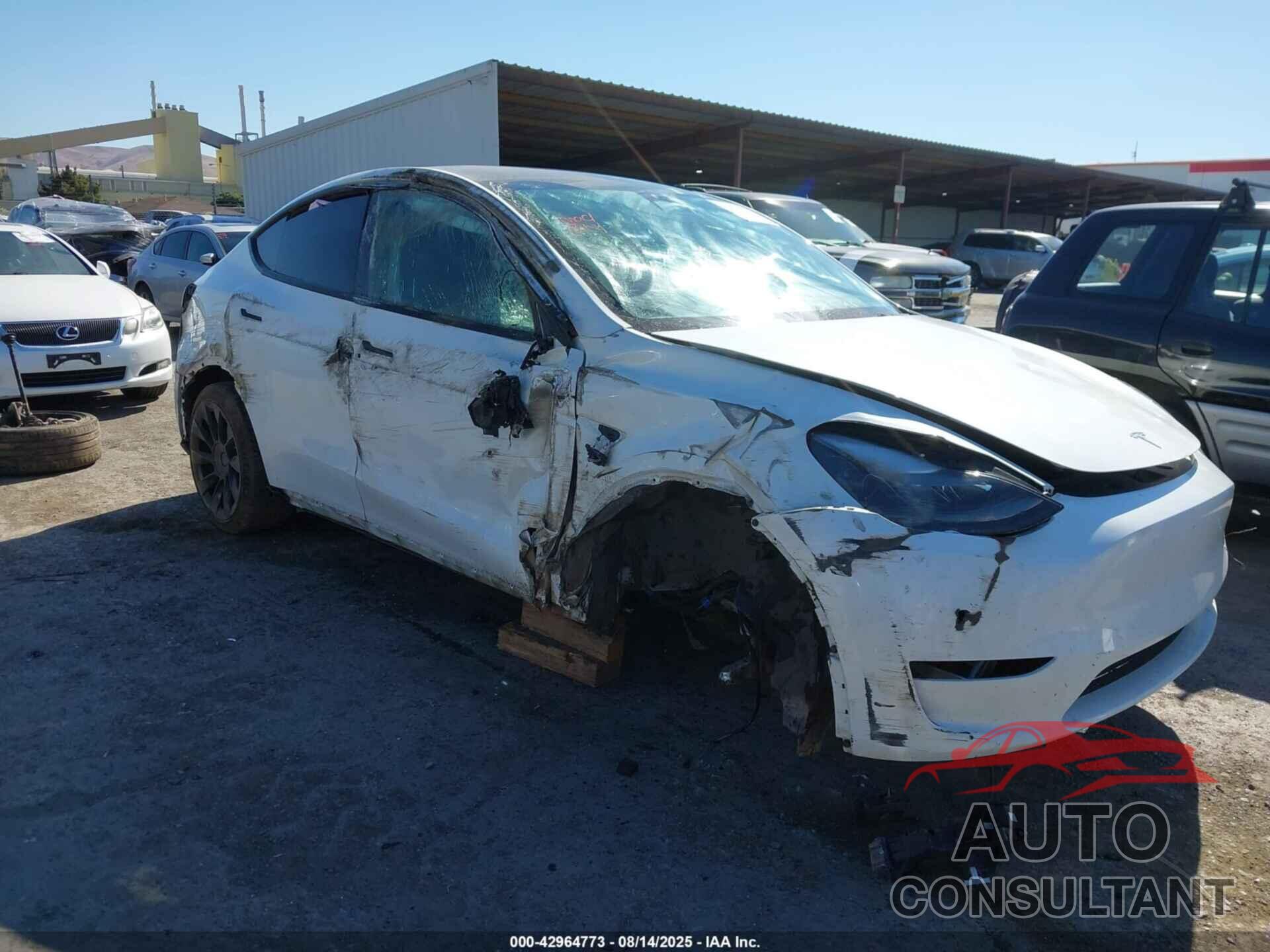 TESLA MODEL Y 2023 - 7SAYGDEE7PF710117