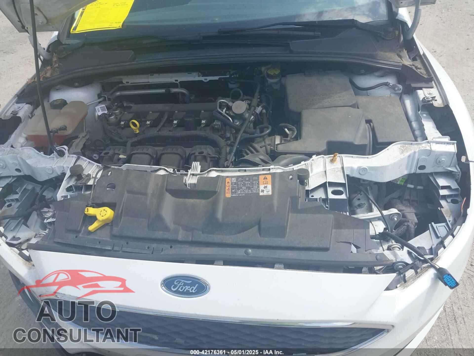 FORD FOCUS 2016 - 1FADP3F22GL329904