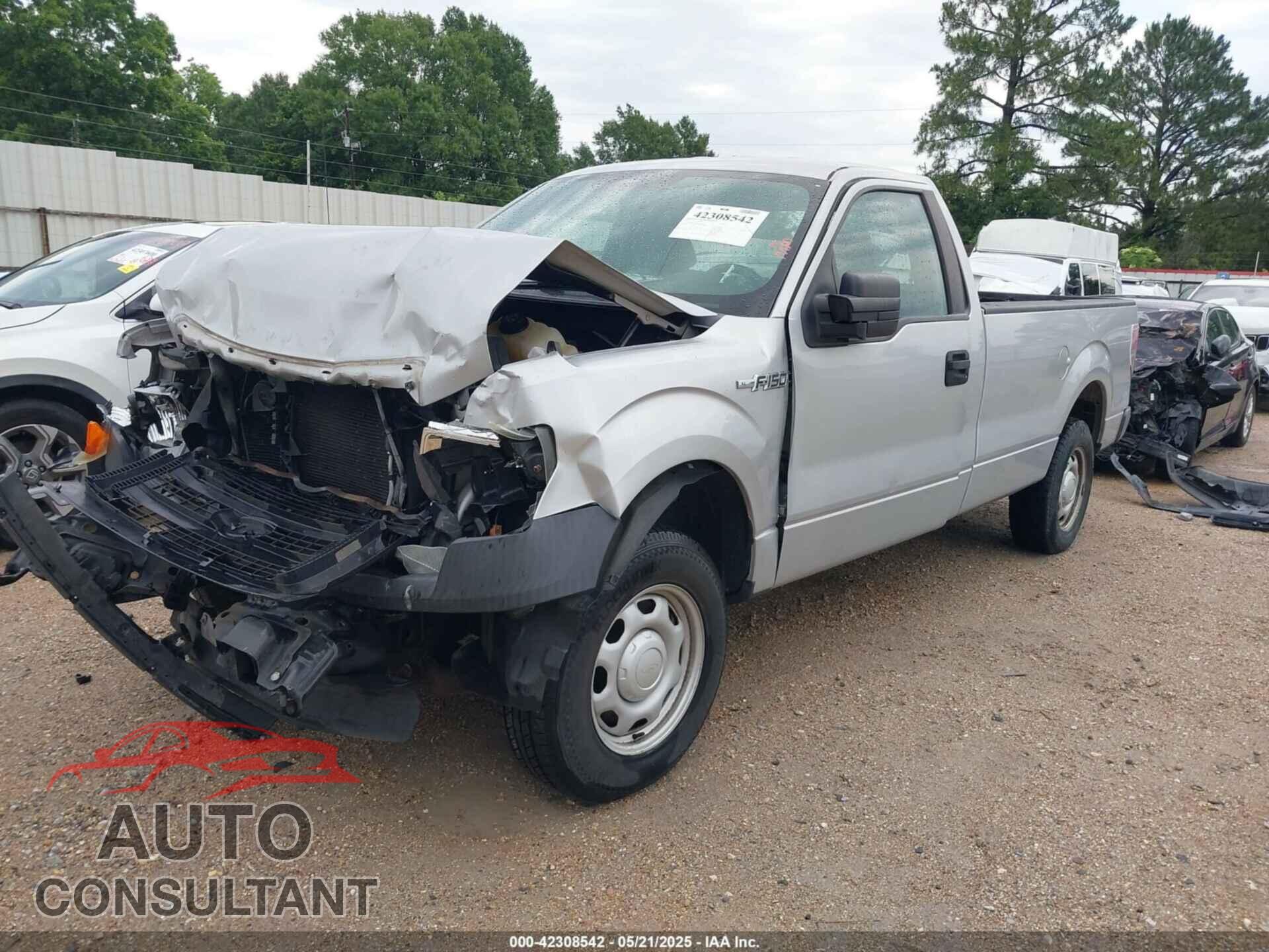 FORD F-150 2013 - 1FTMF1CM1DKF27849