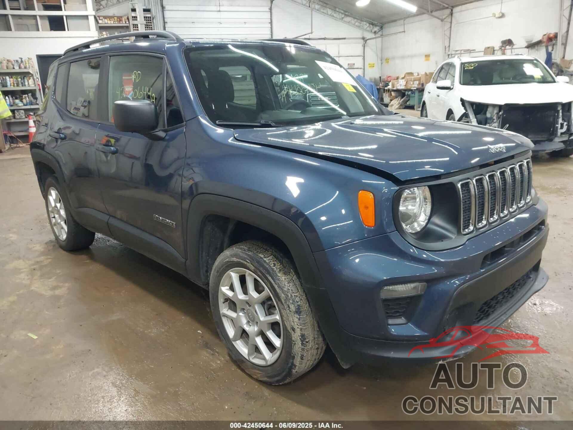 JEEP RENEGADE 2020 - ZACNJBAB4LPL05057