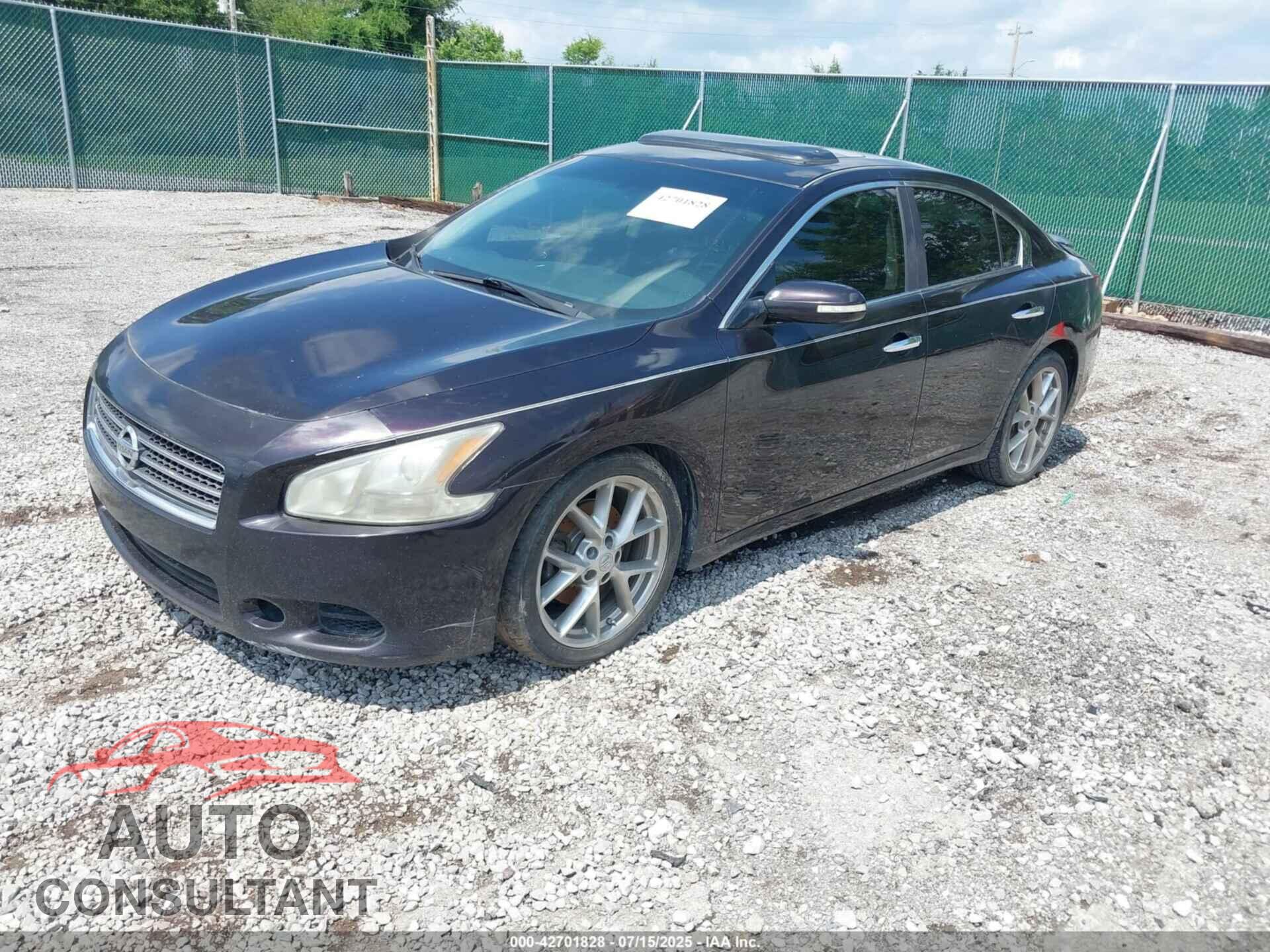 NISSAN MAXIMA 2010 - 1N4AA5AP0AC800815