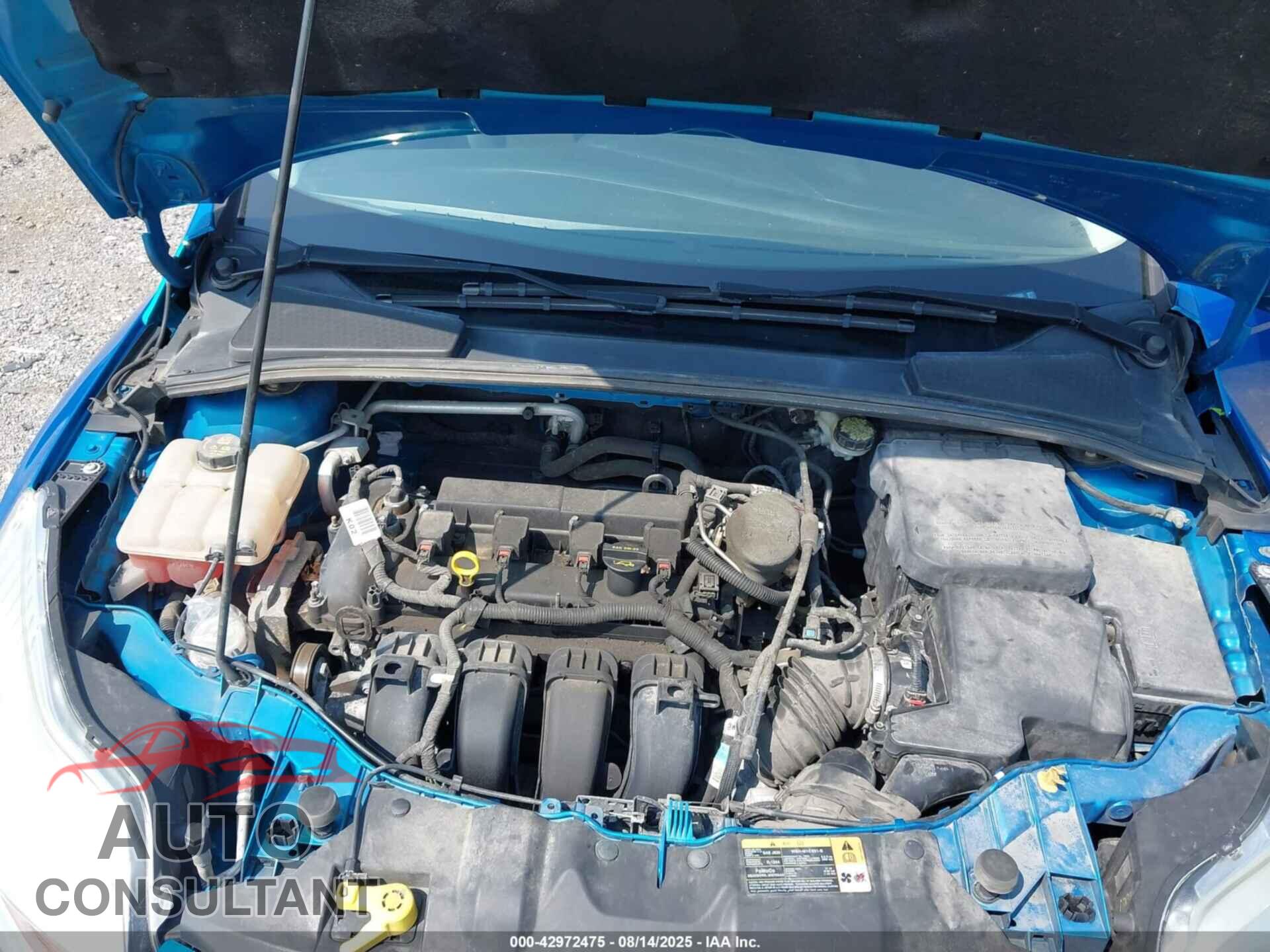 FORD FOCUS 2014 - 1FADP3F29EL181859