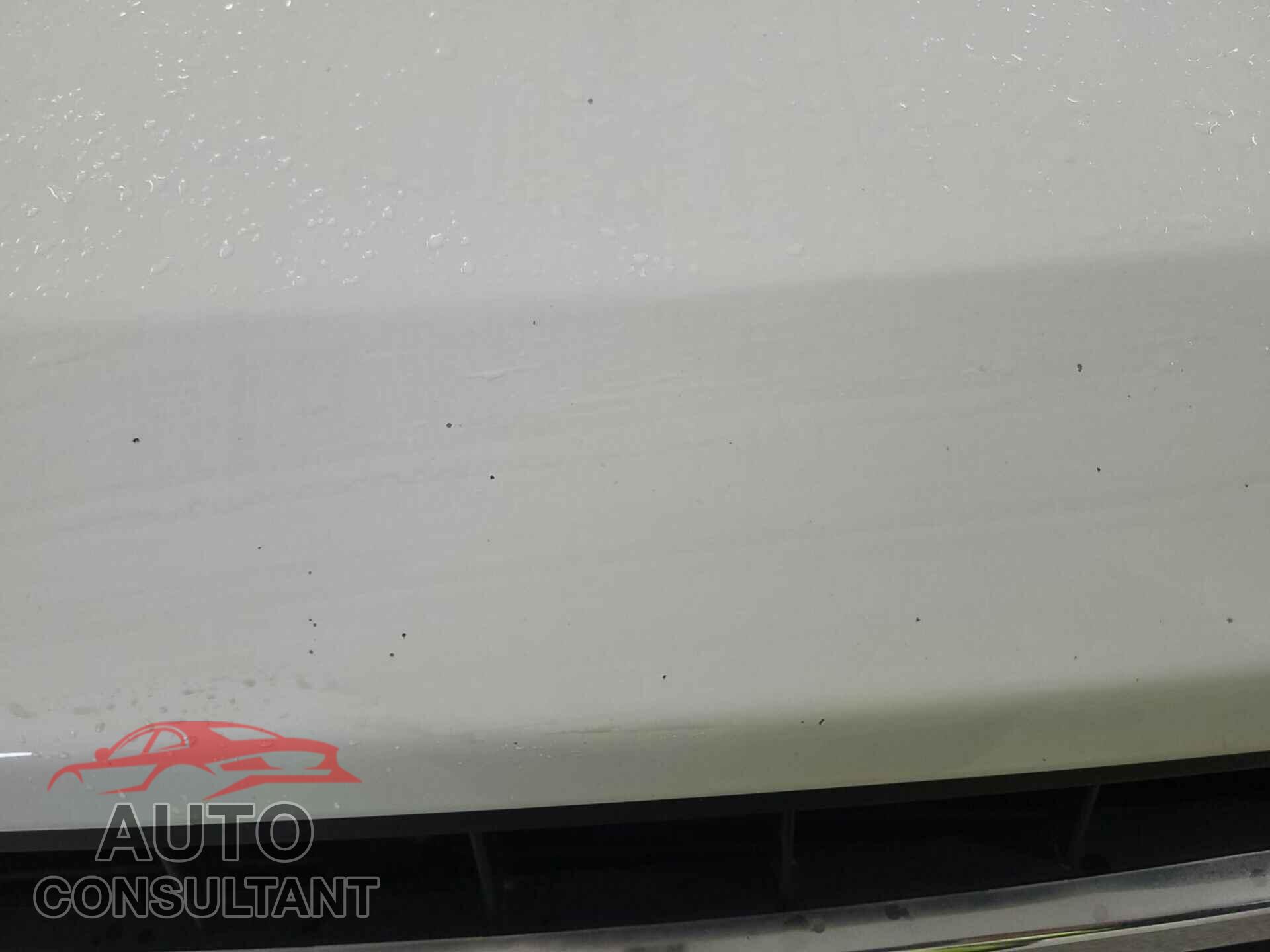 FORD F150 2019 - 1FTFX1E40KKE10523