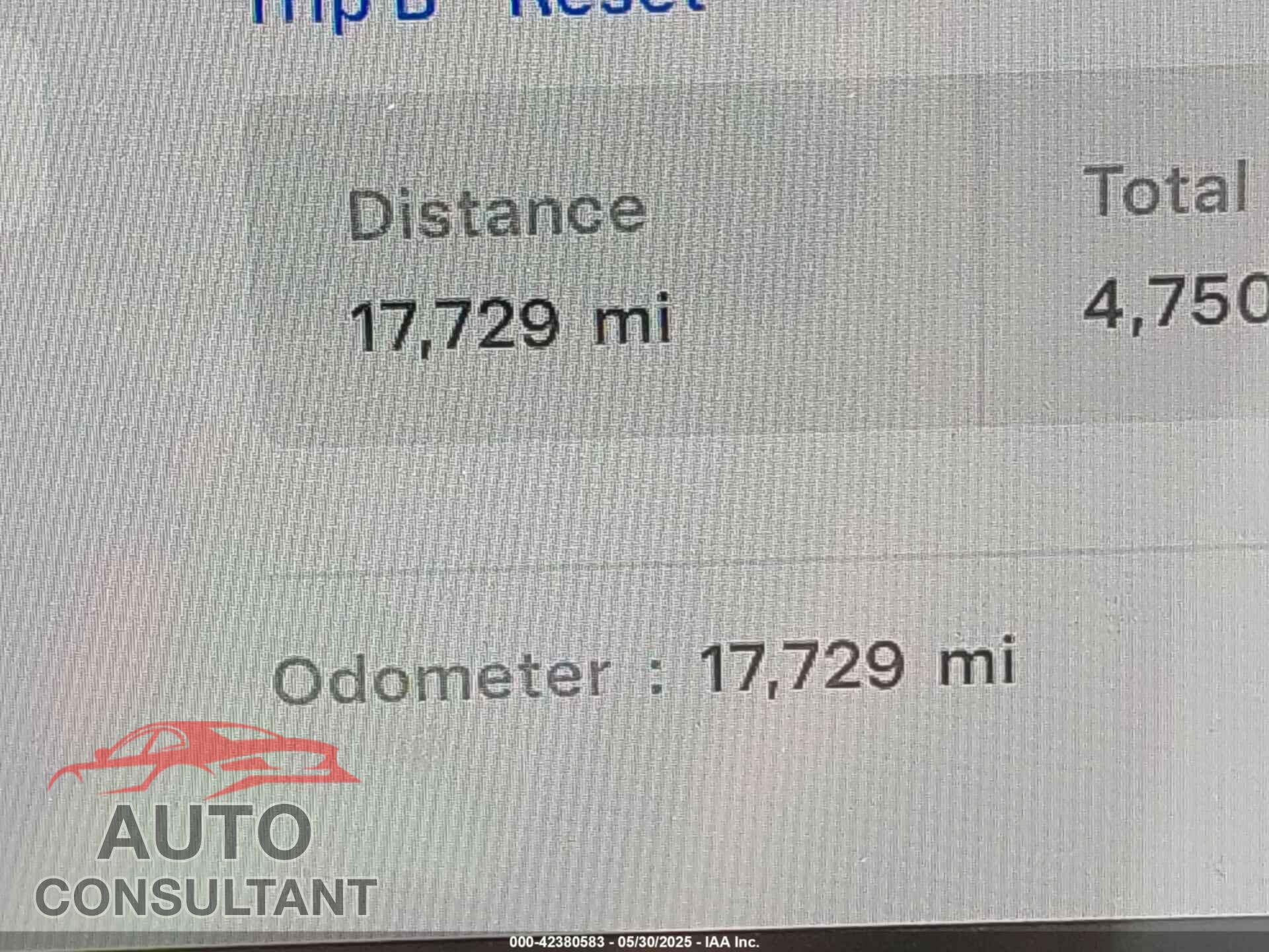 TESLA MODEL Y 2023 - 7SAYGAEEXPF856428