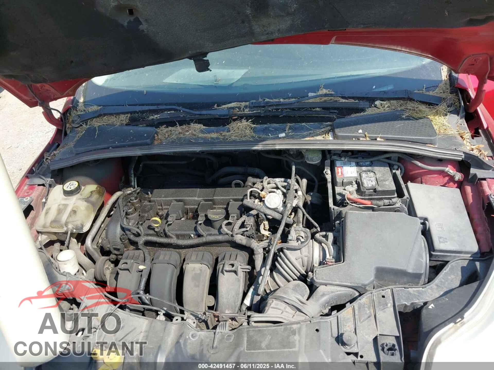 FORD FOCUS 2012 - 1FAHP3F24CL102709