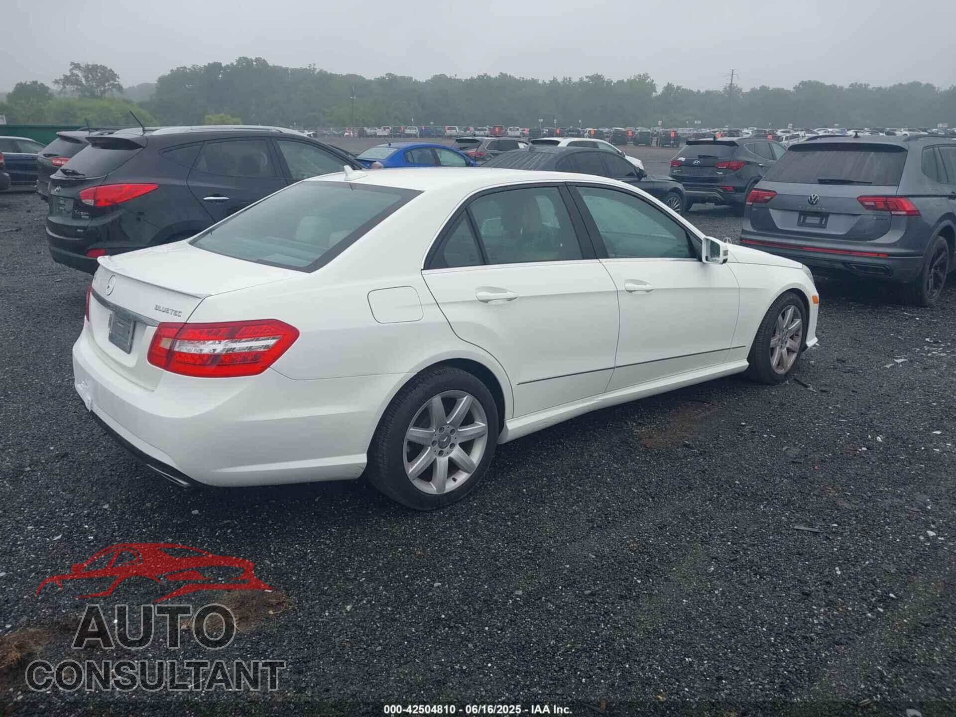 MERCEDES-BENZ E 350 BLUETEC 2013 - WDDHF2EB9DA730342