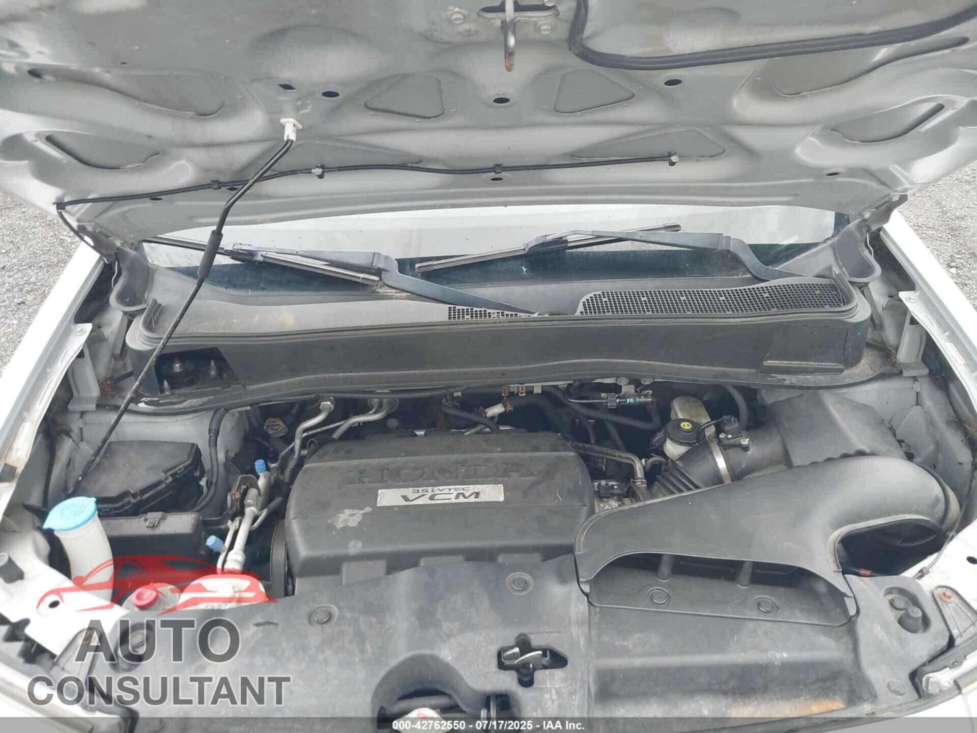 HONDA PILOT 2010 - 5FNYF4H44AB031559