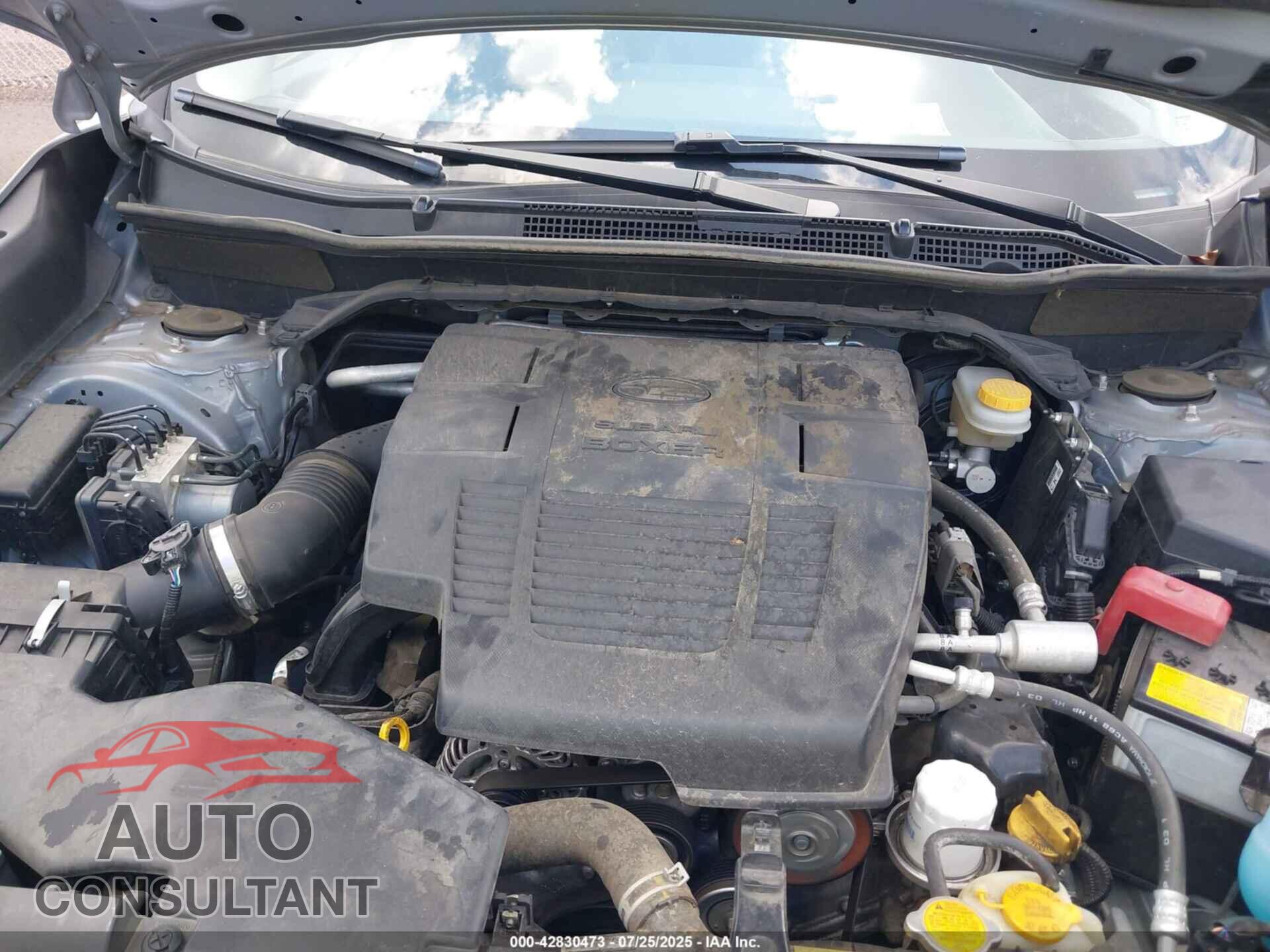 SUBARU FORESTER 2019 - JF2SKAGC1KH510372