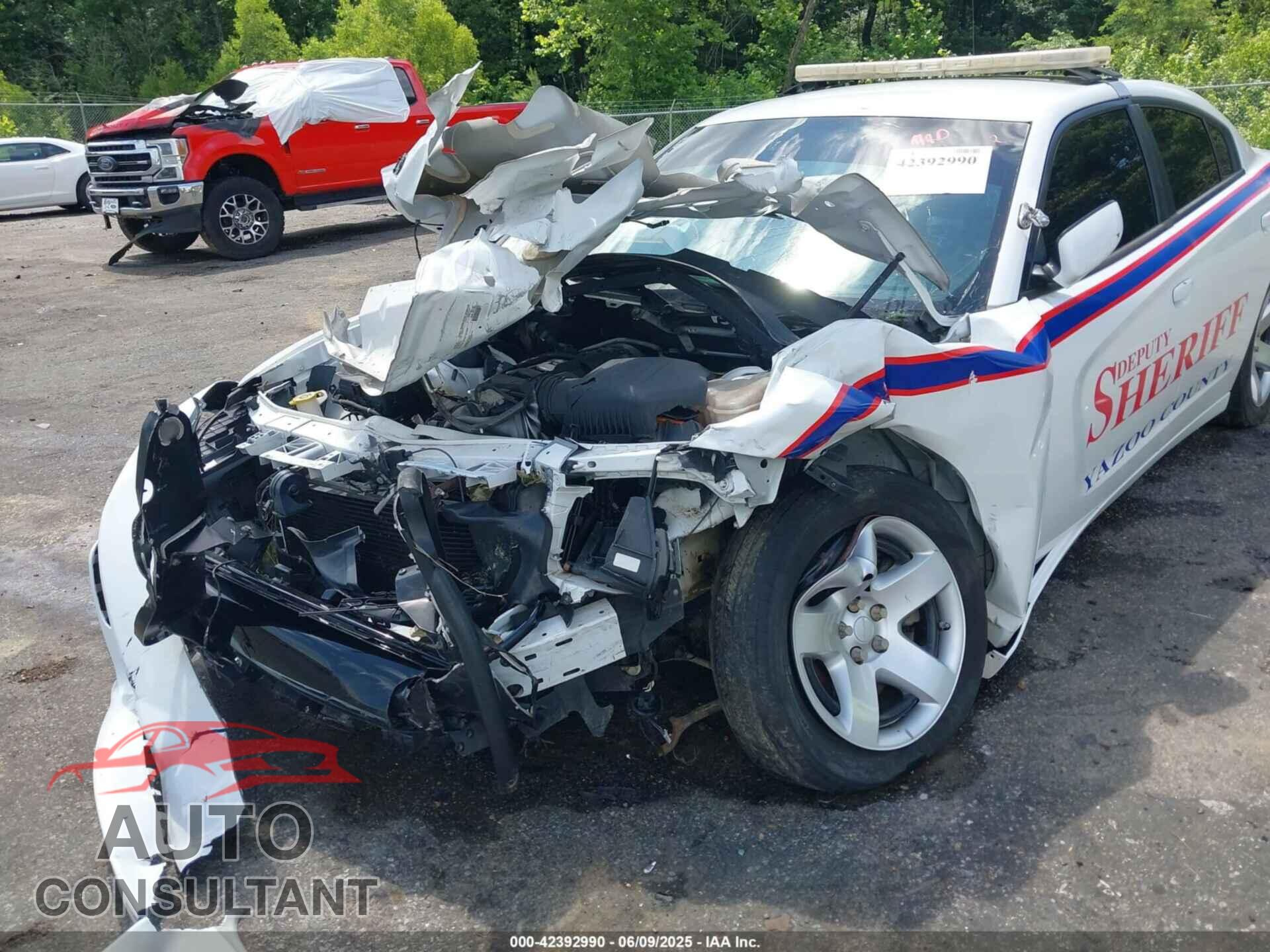 DODGE CHARGER 2019 - 2C3CDXAT4KH579337
