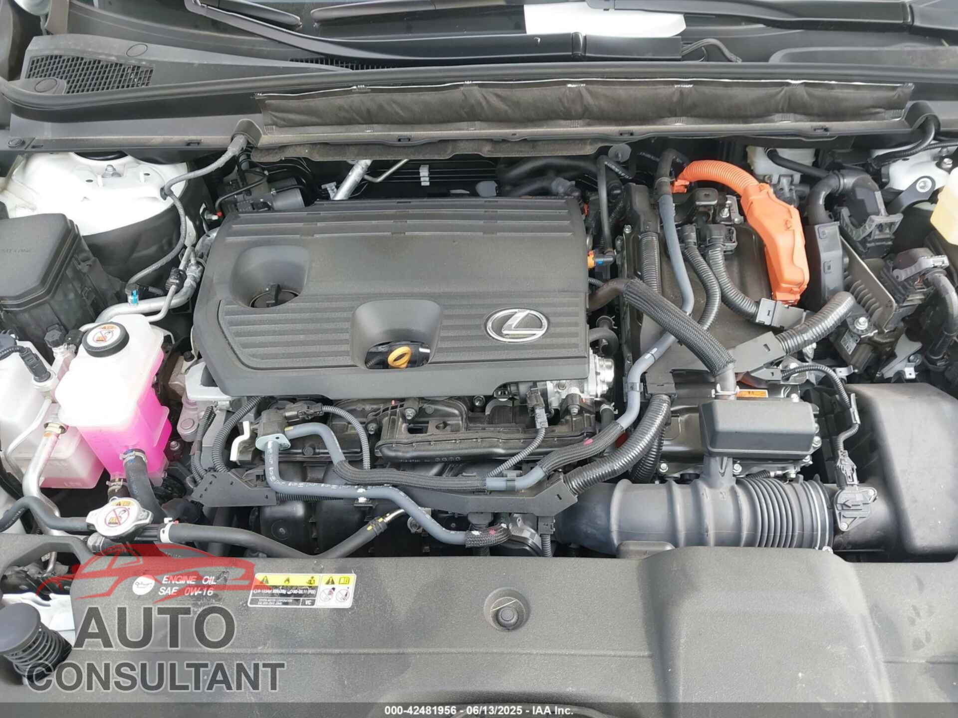 LEXUS RX 350H 2024 - 2T2BBMCA9RC025394
