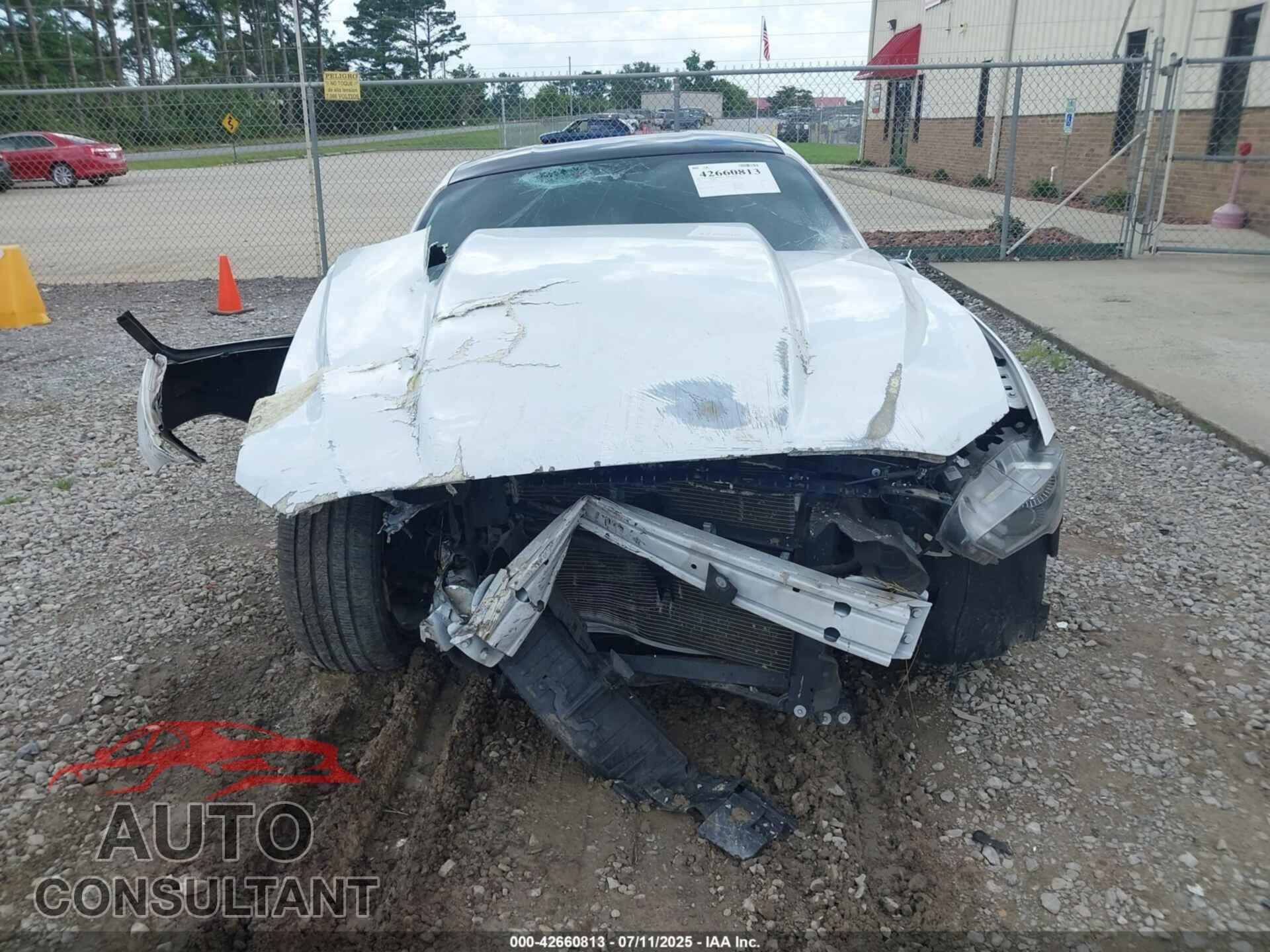FORD MUSTANG 2019 - 1FA6P8CF5K5199790